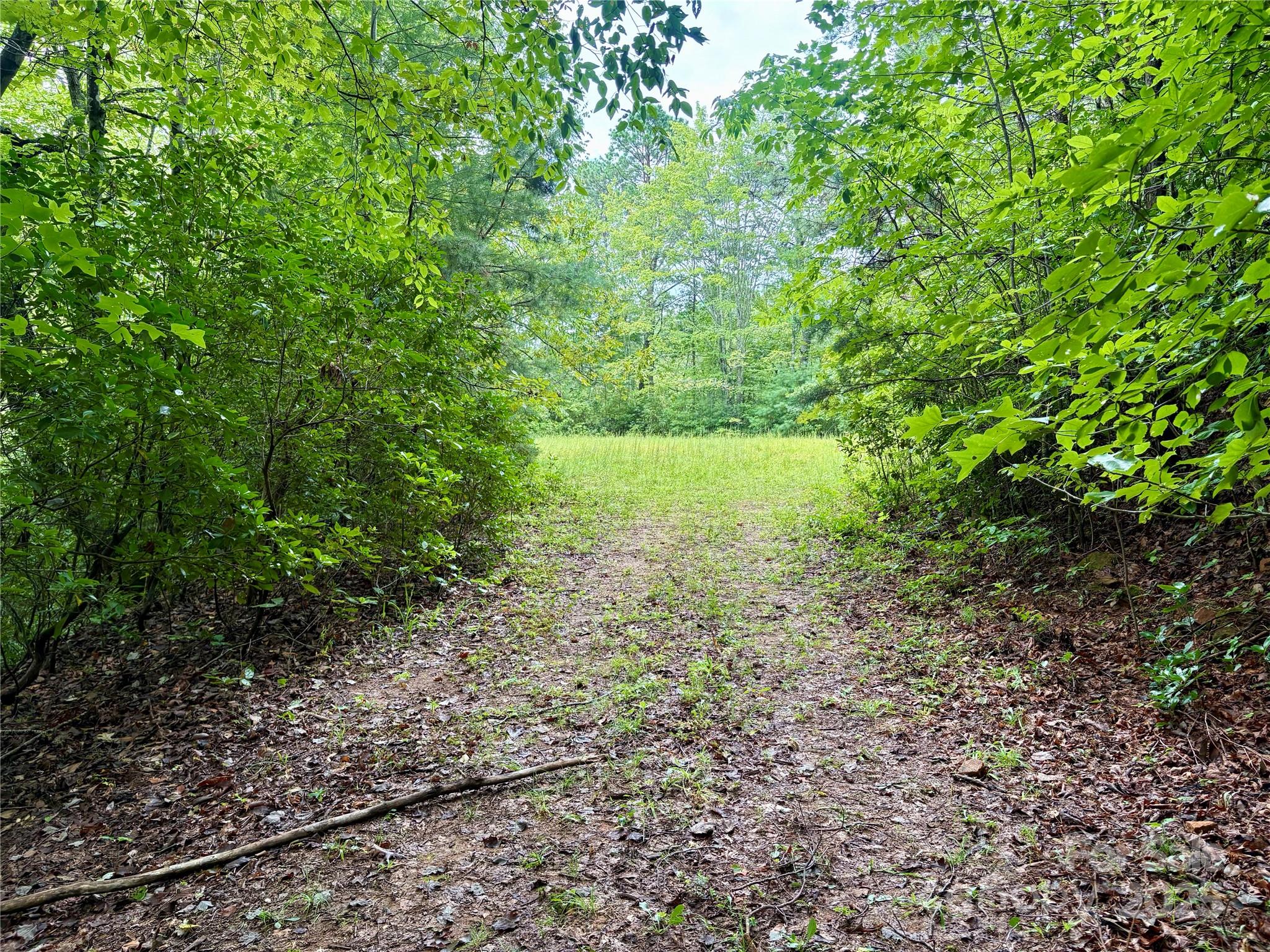 Glory Mountain - Land