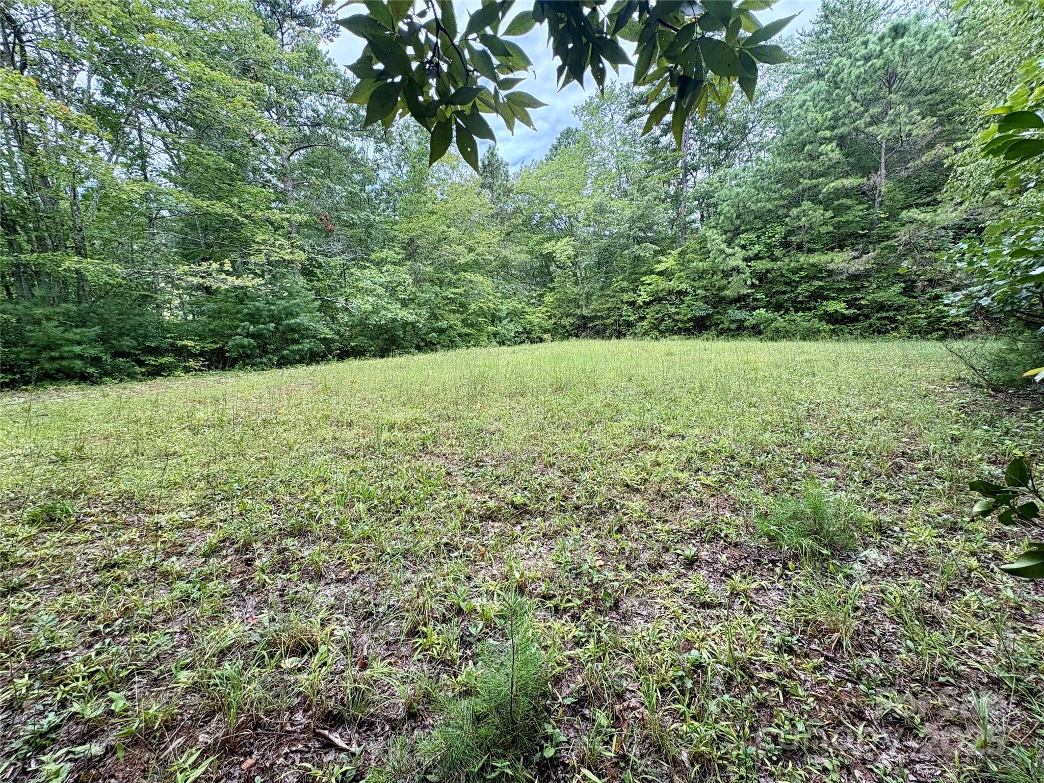 0 Chickadee Drive 51