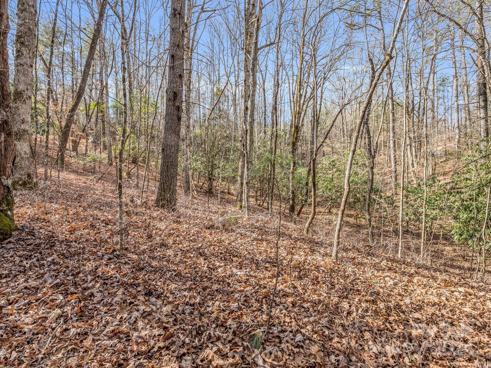 Connestee Falls - Land