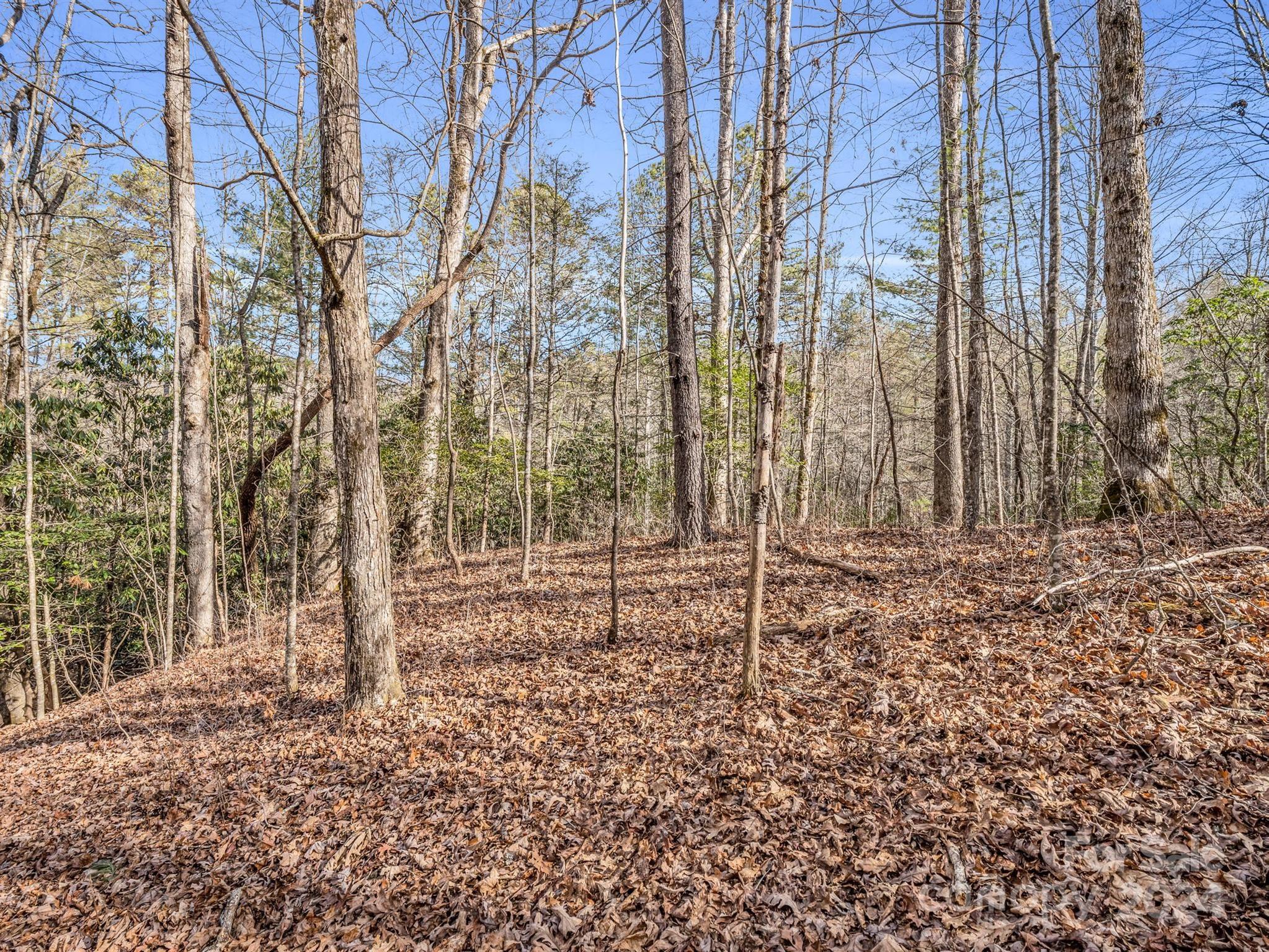 Connestee Falls - Land