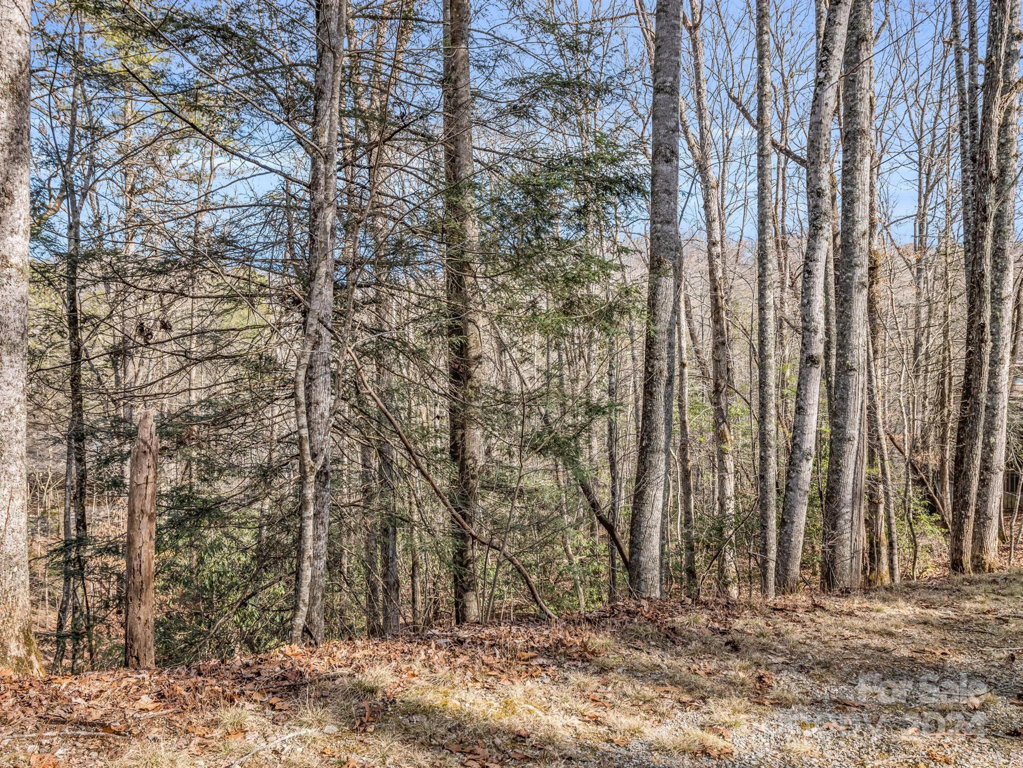 Connestee Falls - Land