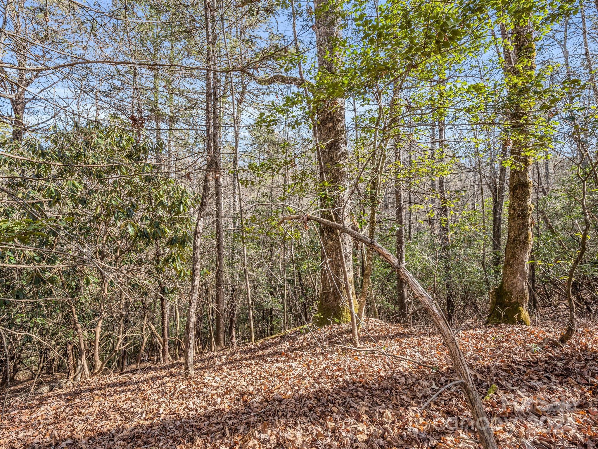 Connestee Falls - Land