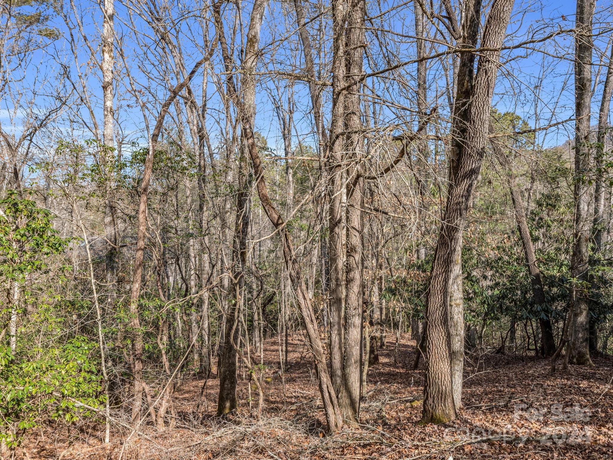 Connestee Falls - Land