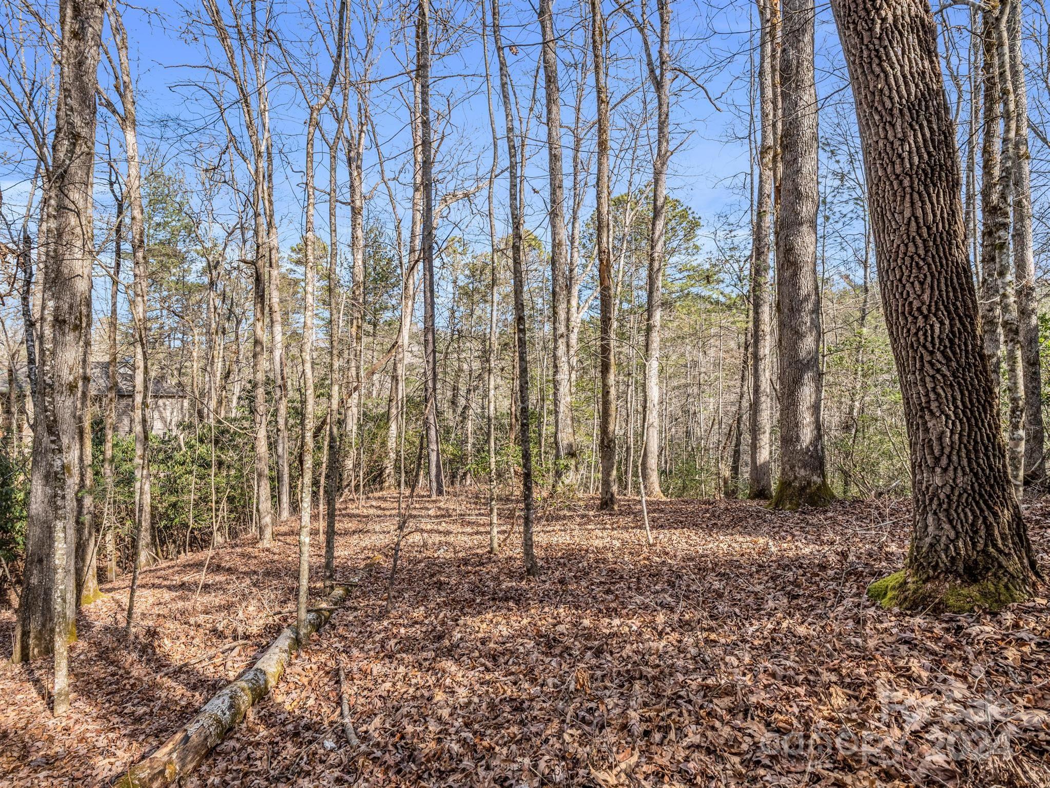 Connestee Falls - Land