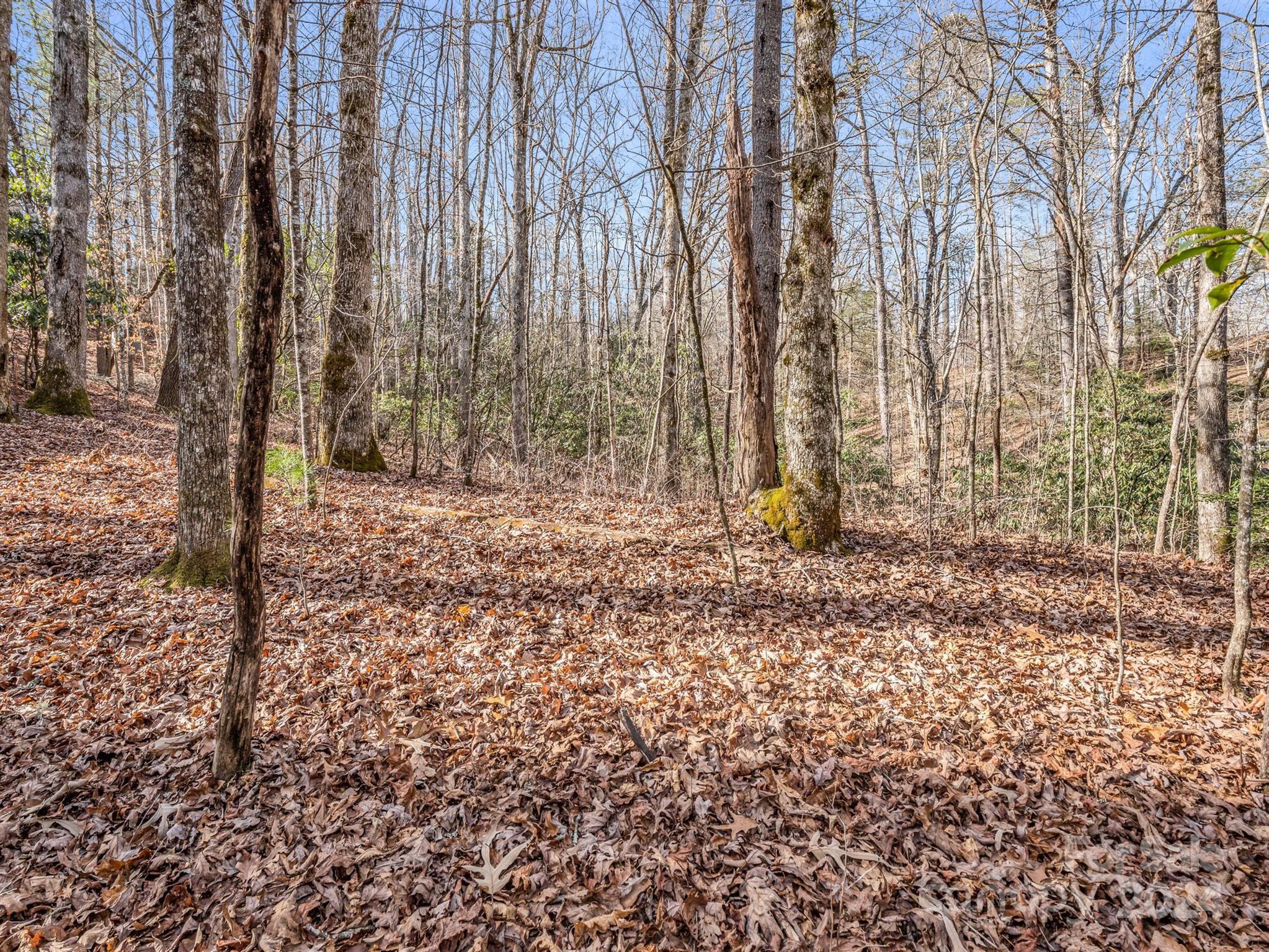 Connestee Falls - Land