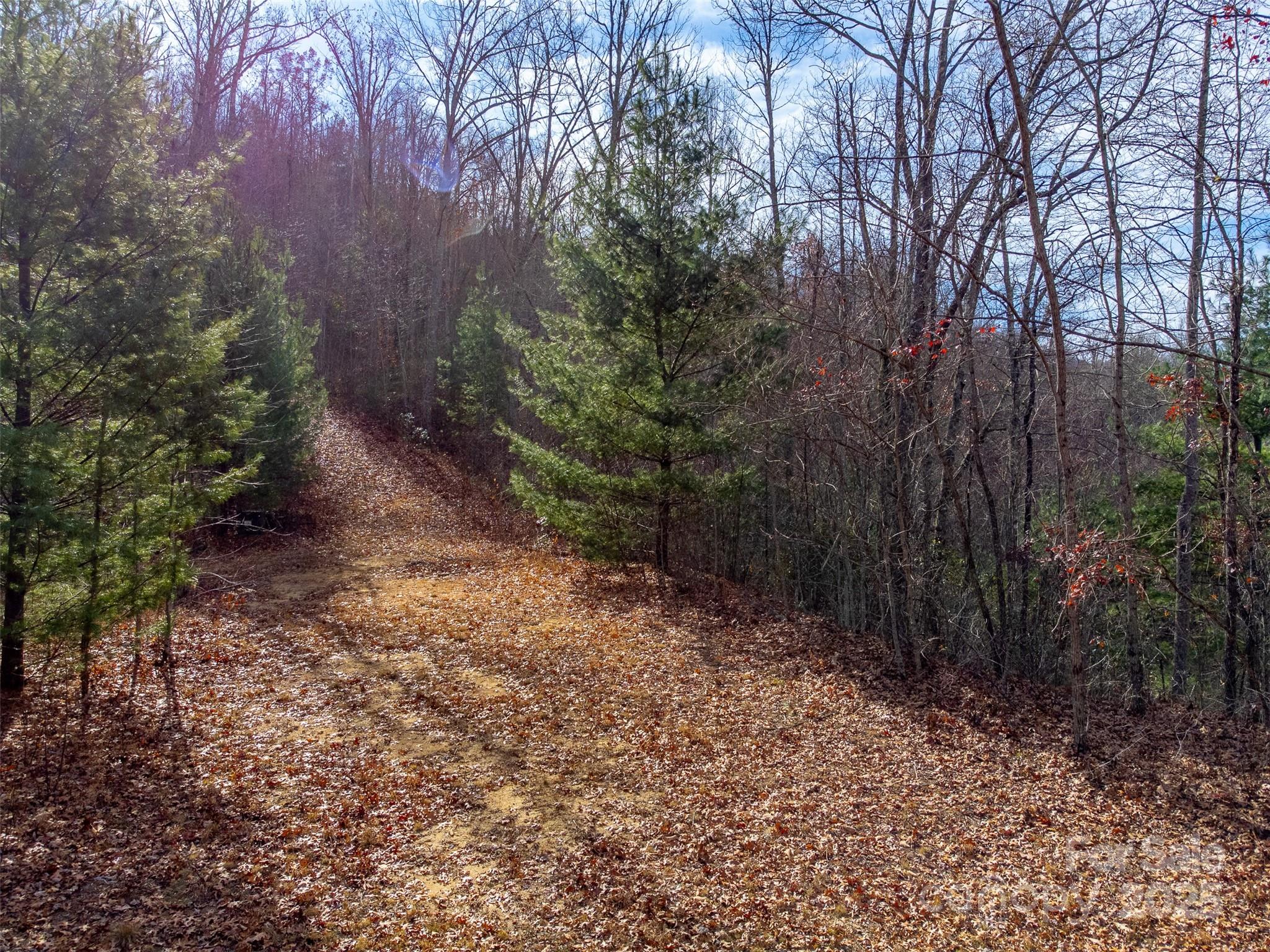 Garnet Ridge Preserve - Land