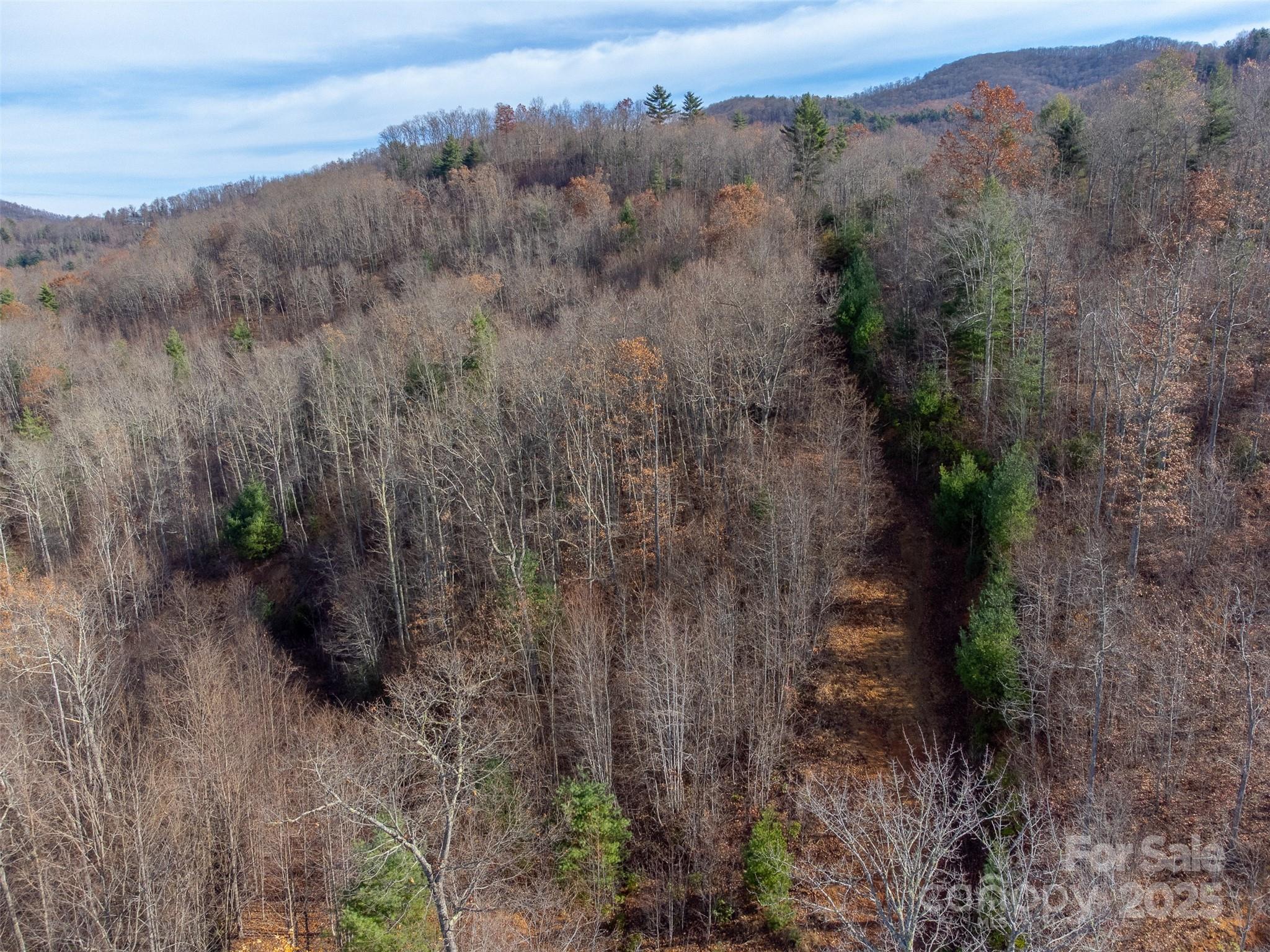 Garnet Ridge Preserve - Land