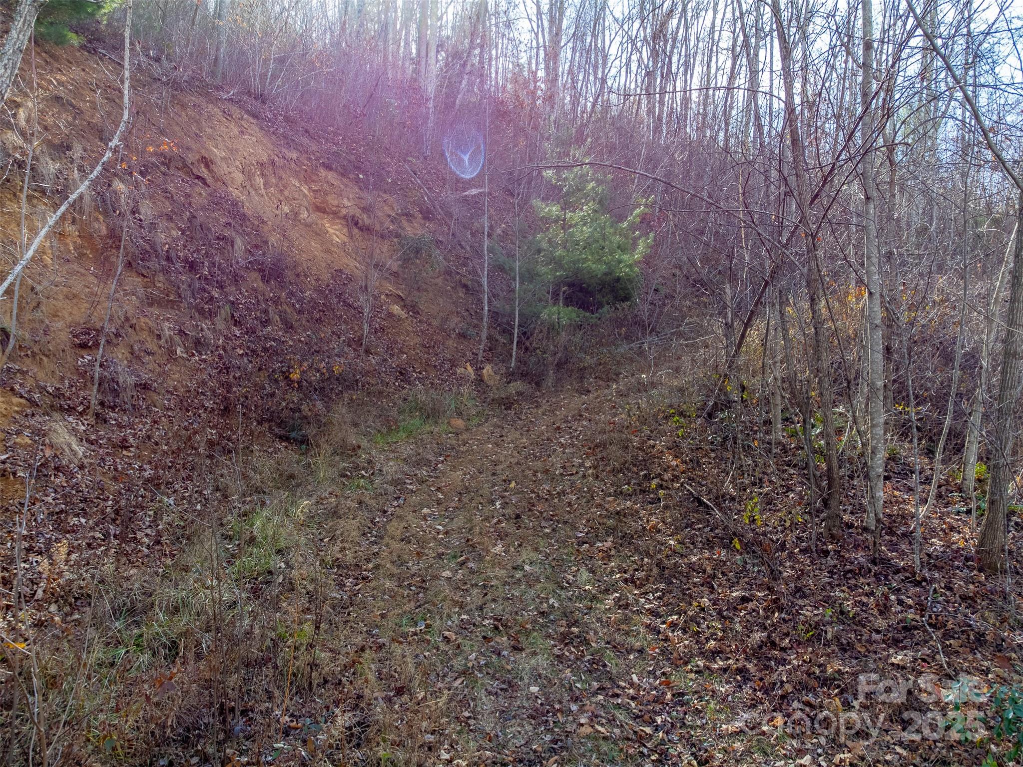 Garnet Ridge Preserve - Land
