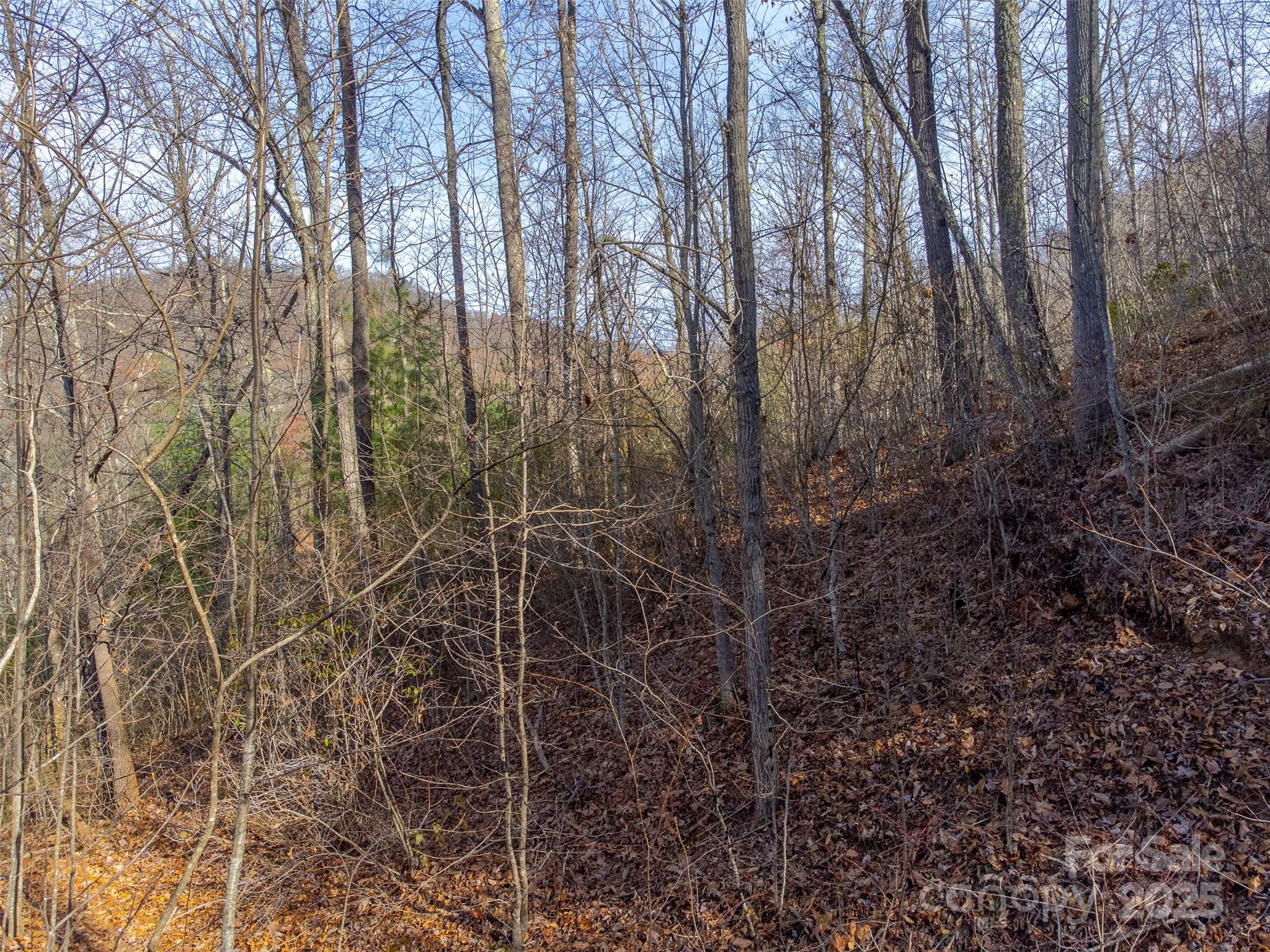 Garnet Ridge Preserve - Land