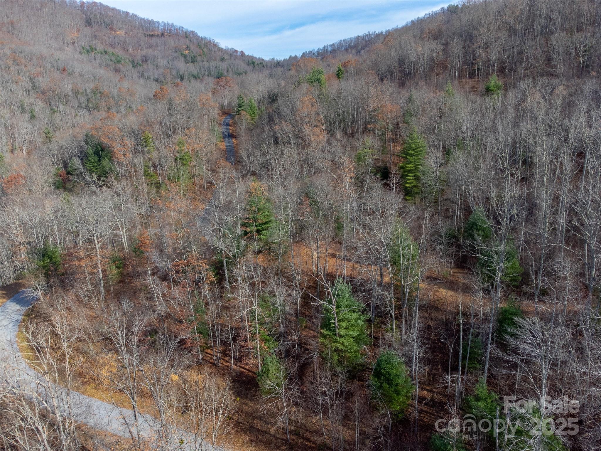 Garnet Ridge Preserve - Land