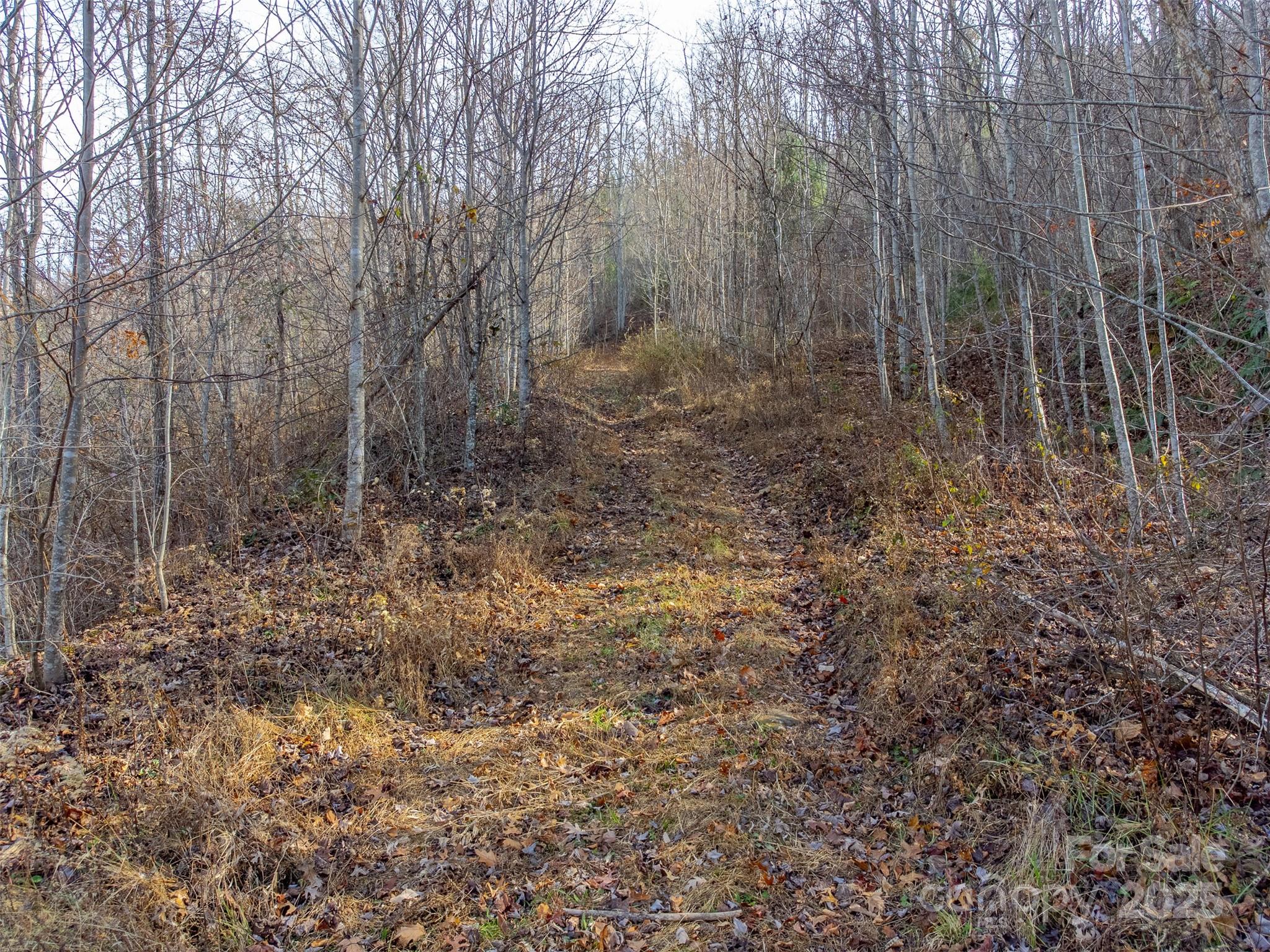 Garnet Ridge Preserve - Land