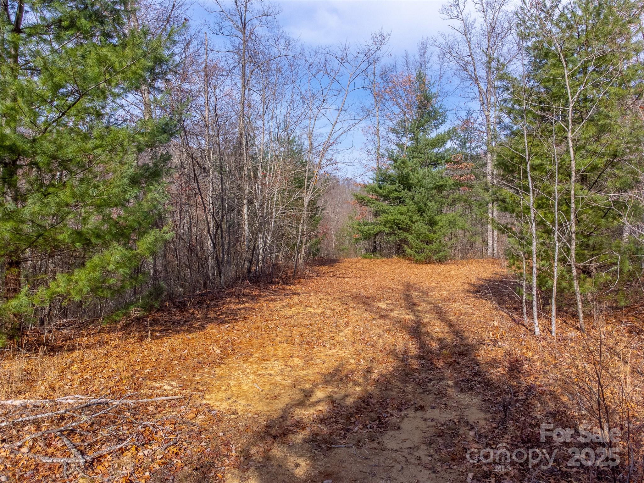 Garnet Ridge Preserve - Land