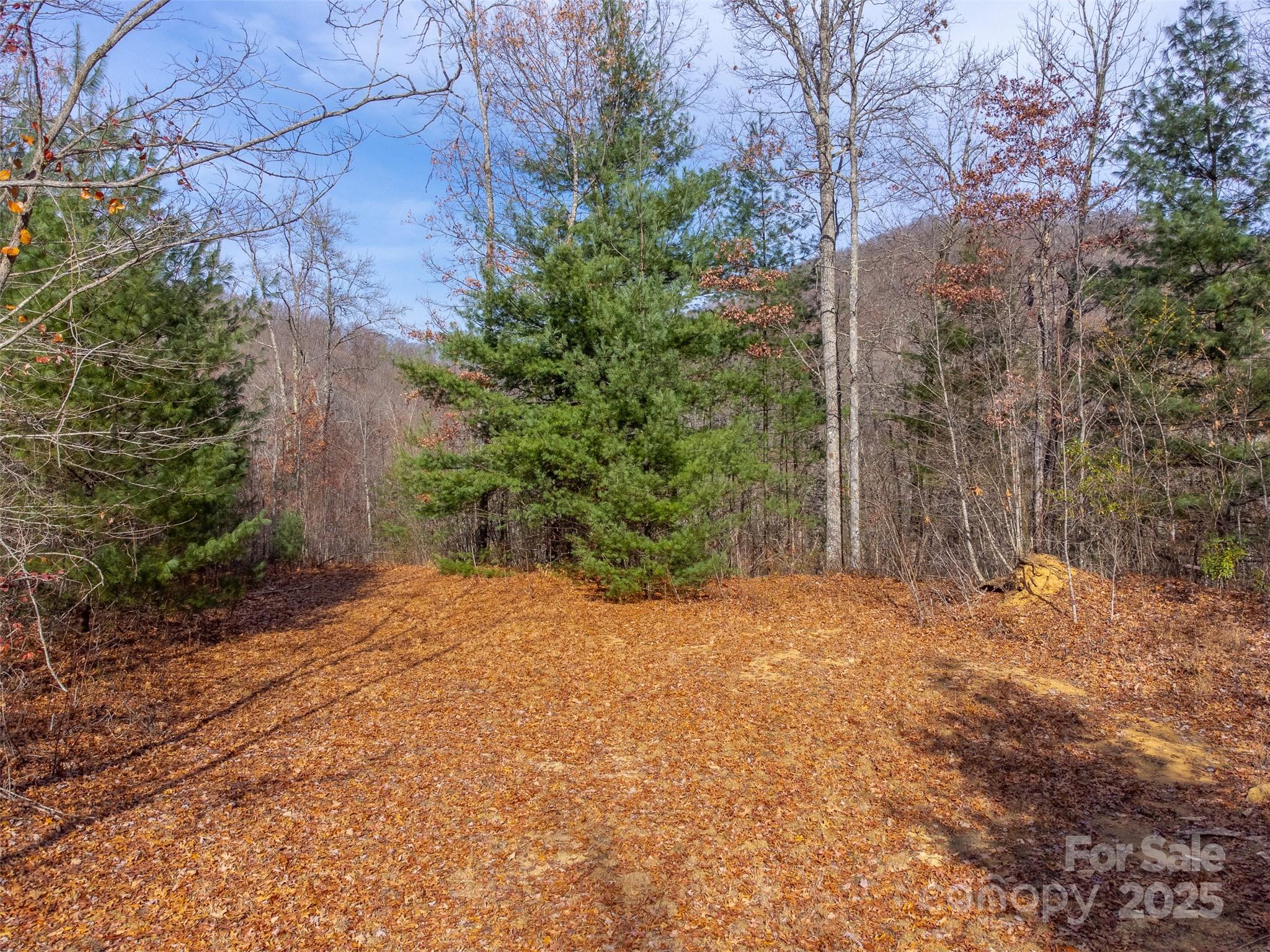 Garnet Ridge Preserve - Land