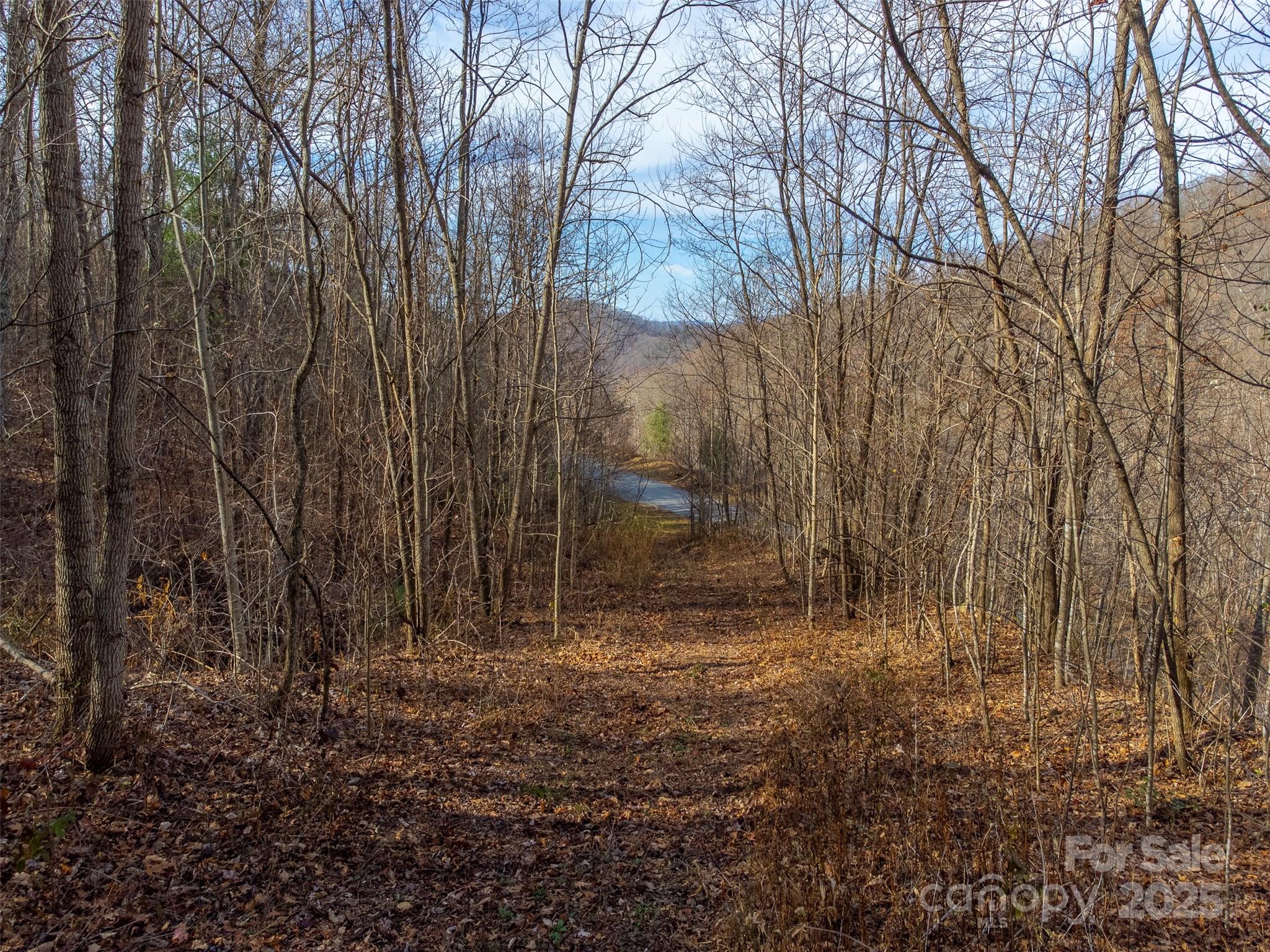 Garnet Ridge Preserve - Land