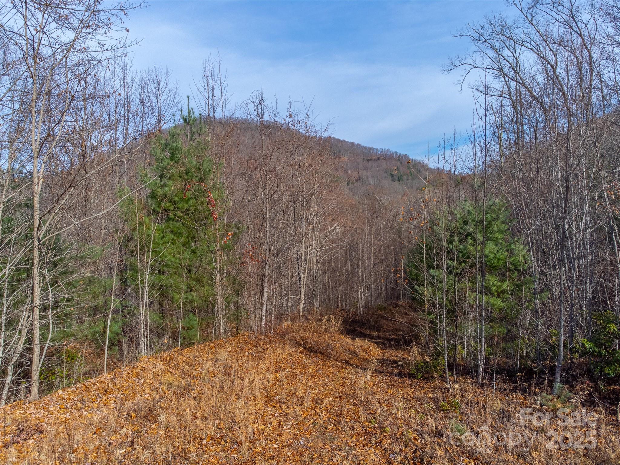 Garnet Ridge Preserve - Land