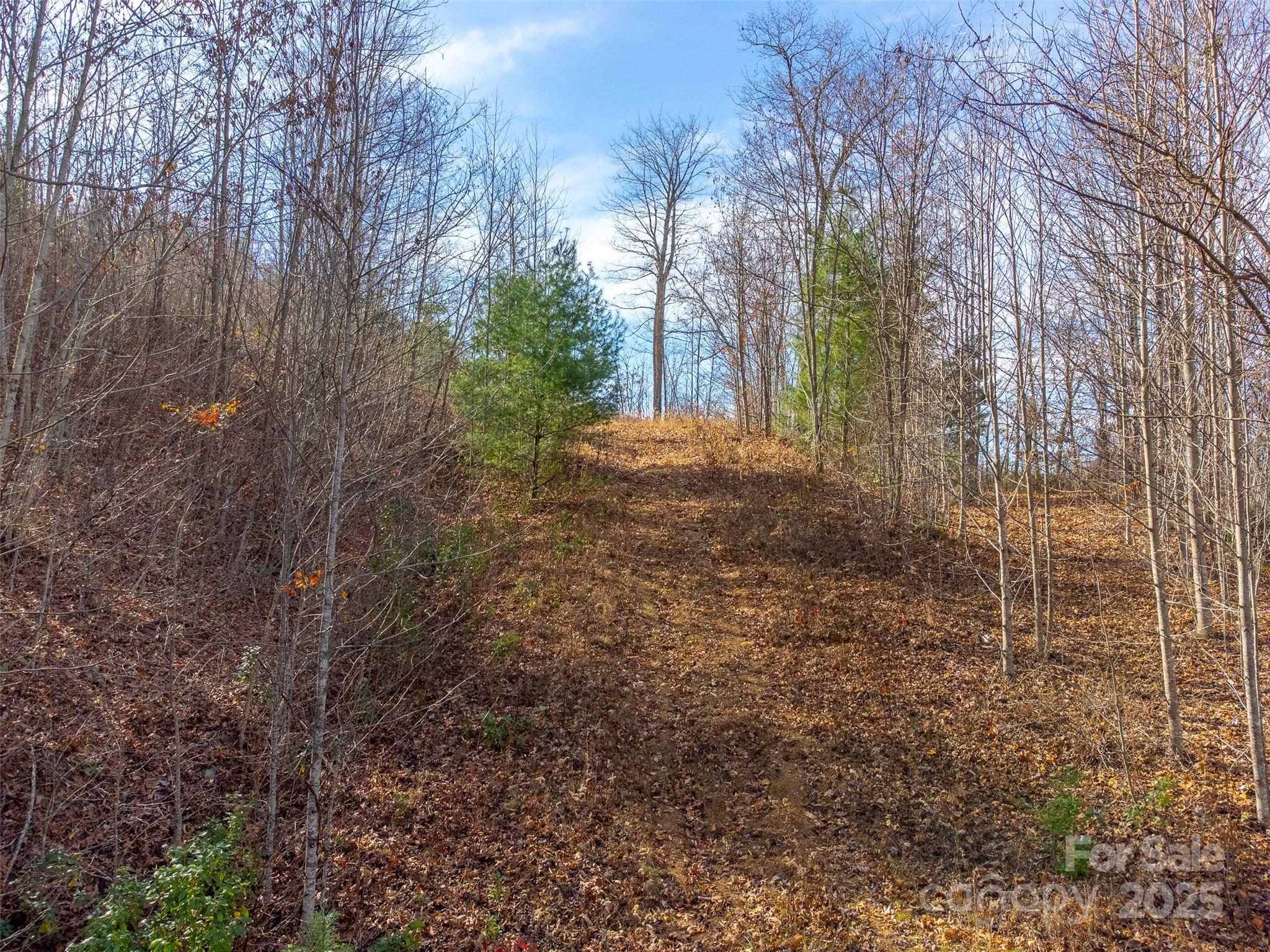 Garnet Ridge Preserve - Land
