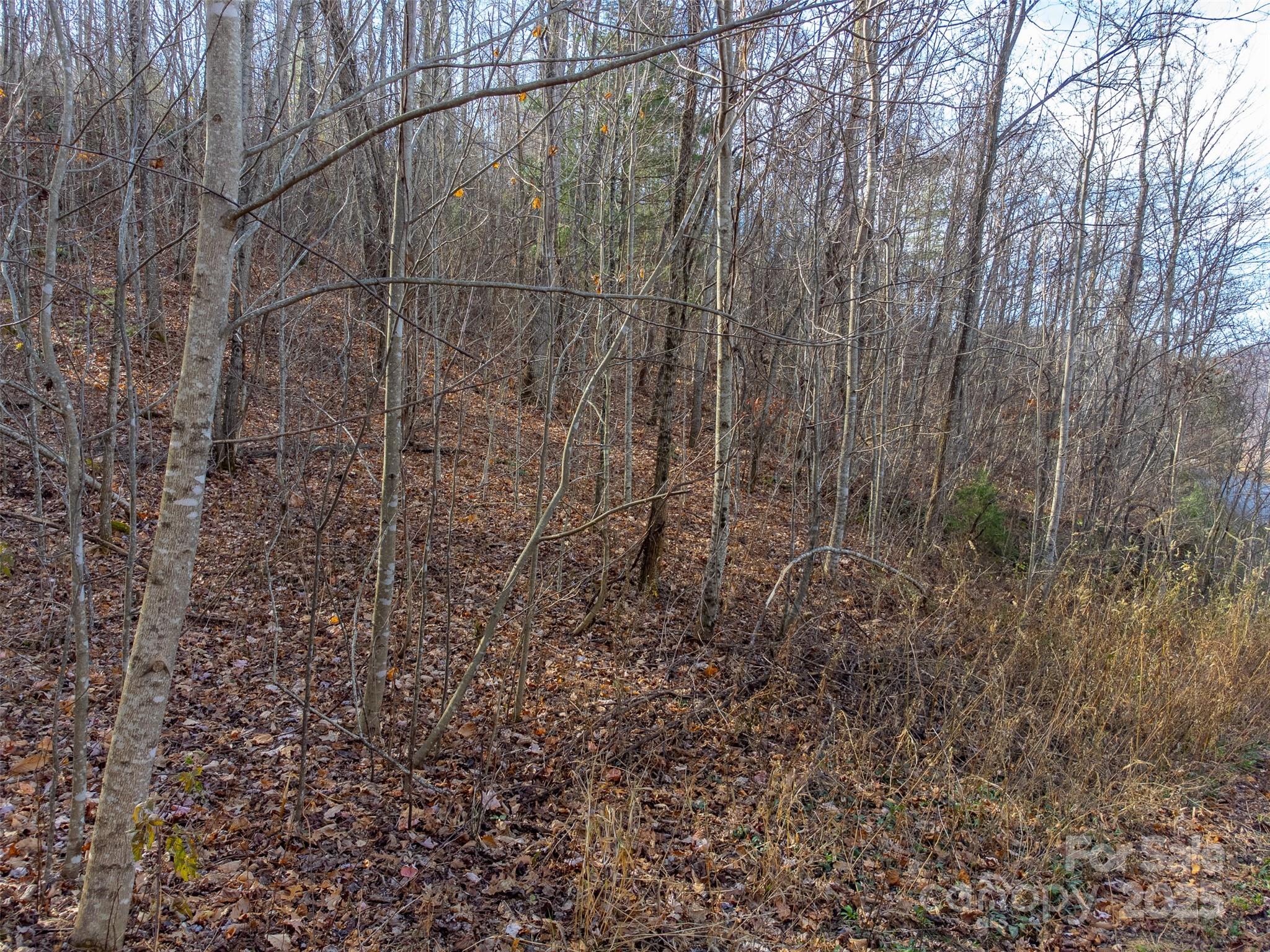 Garnet Ridge Preserve - Land