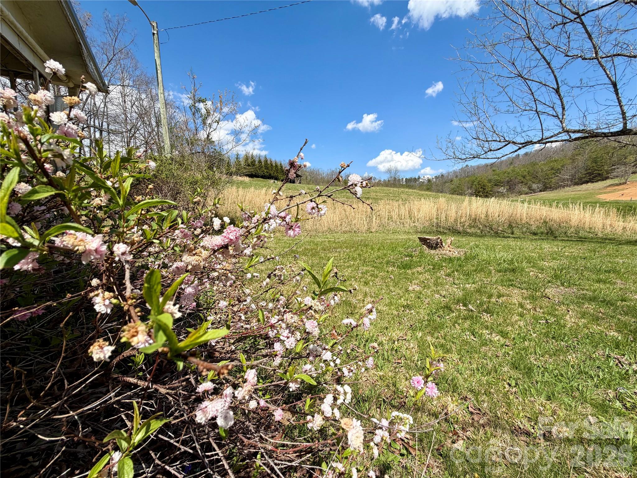 637 Fletcher Martin Road