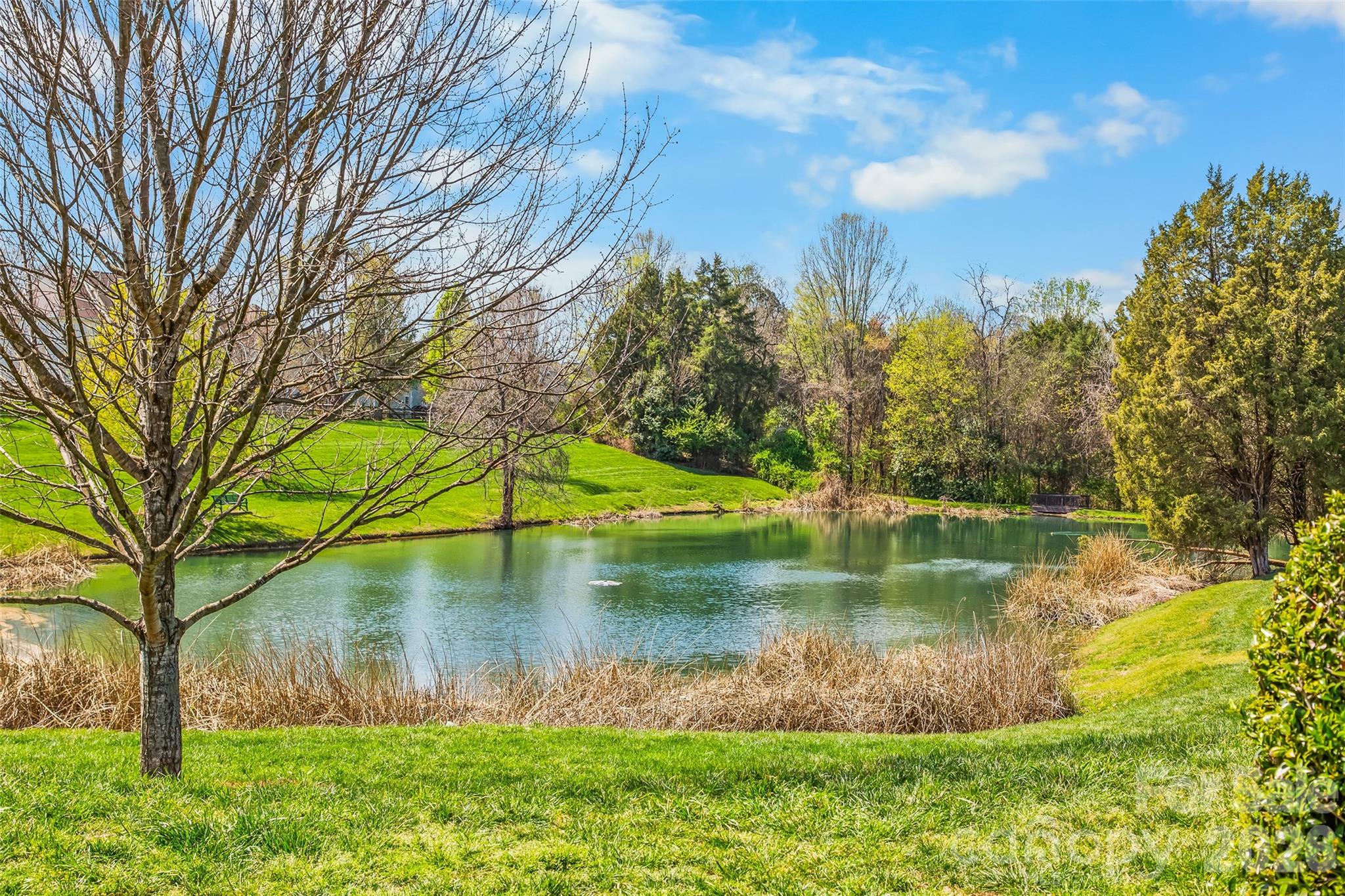 Macaulay - Residential