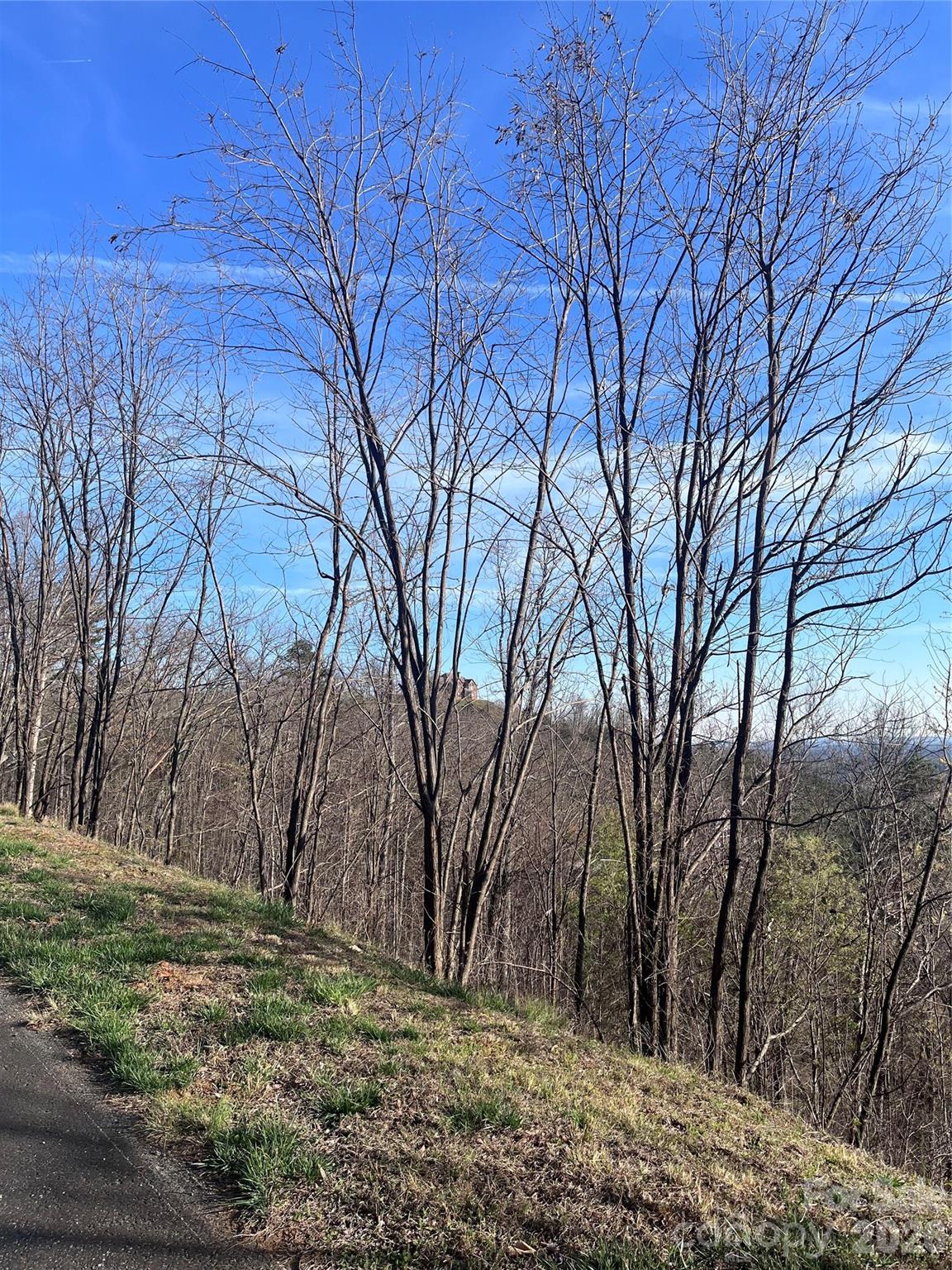 Vista At Bills Mountain - Land