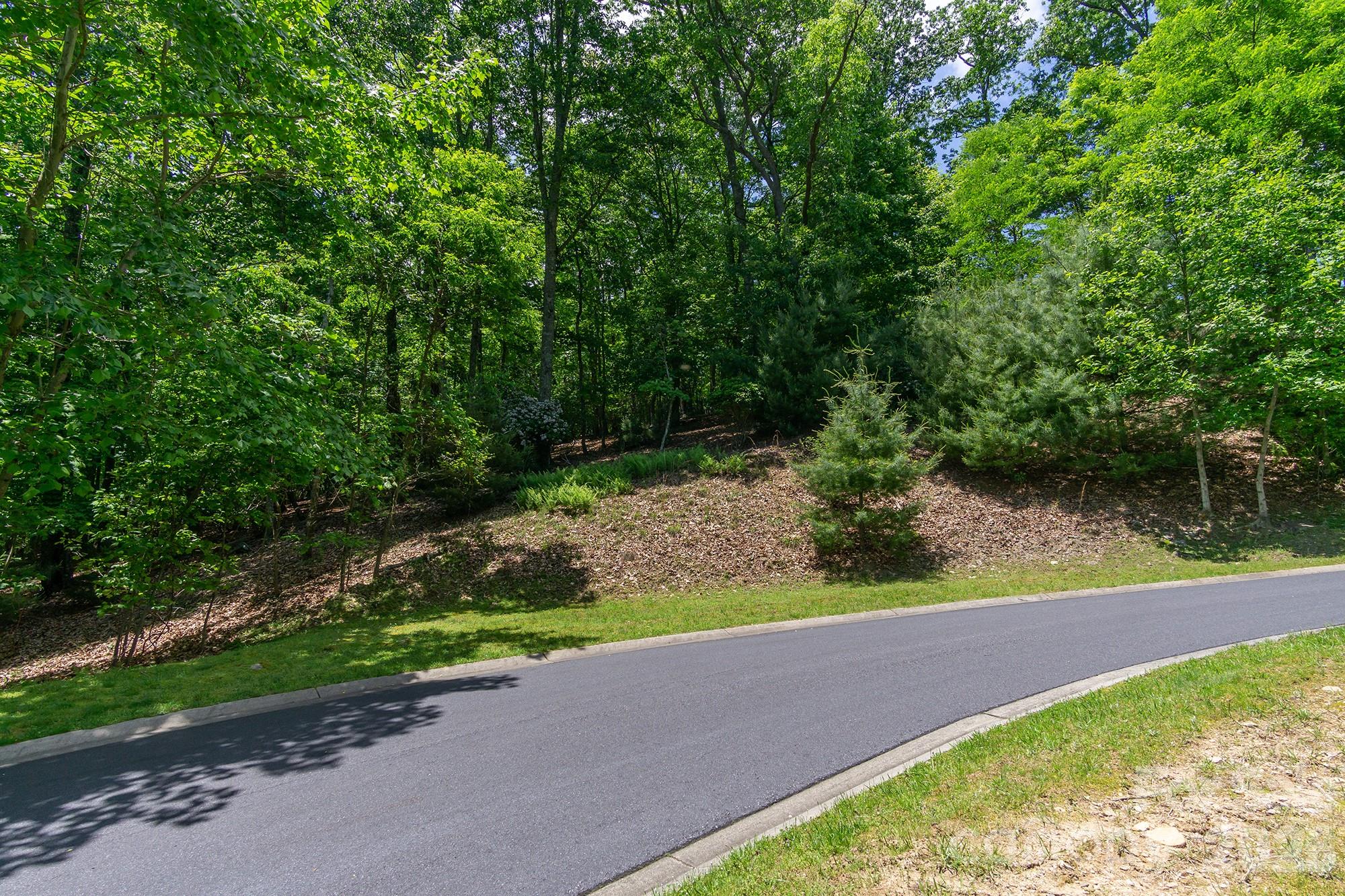 lot 53R Mills River Way Lot 53R