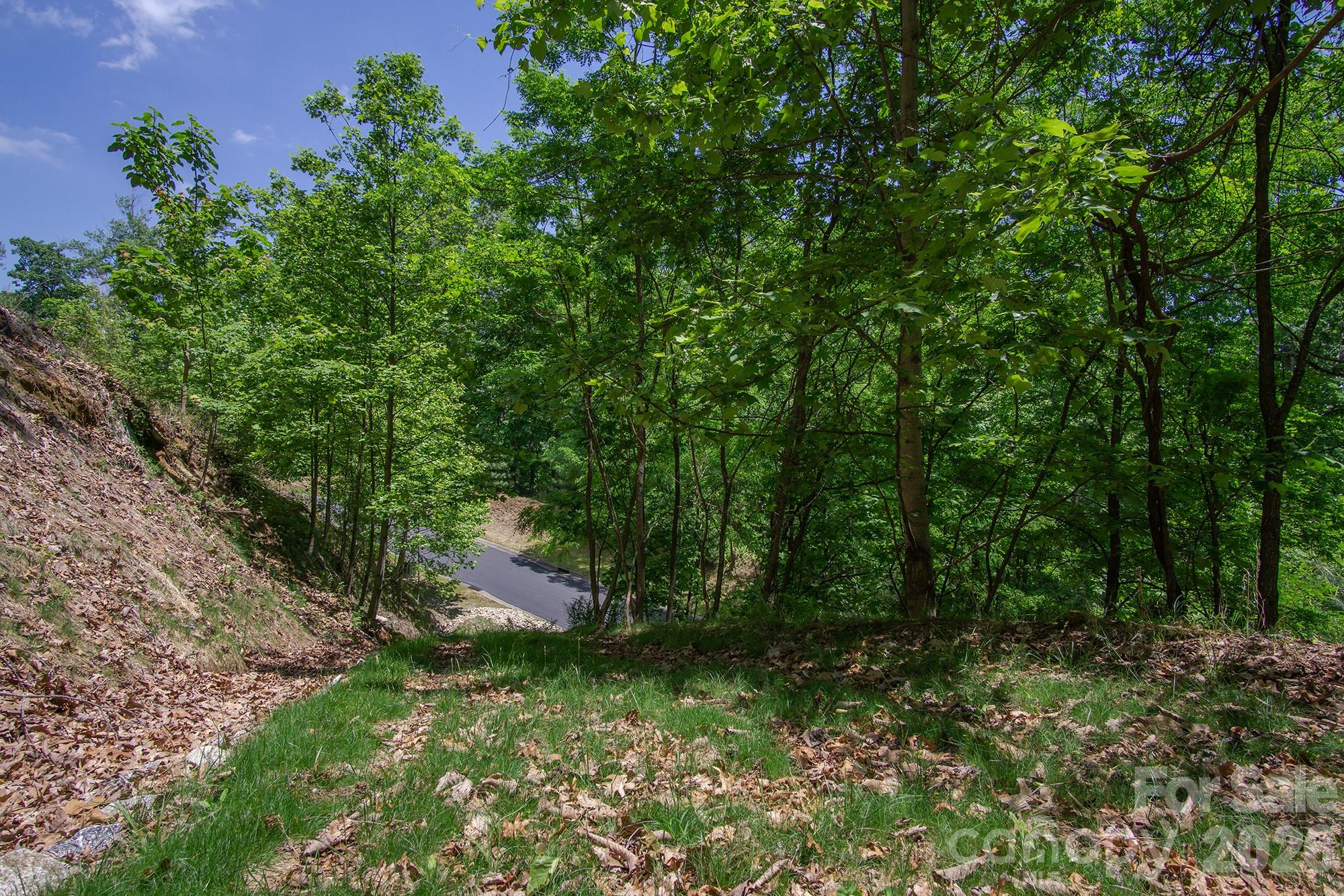 lot 53R Mills River Way Lot 53R