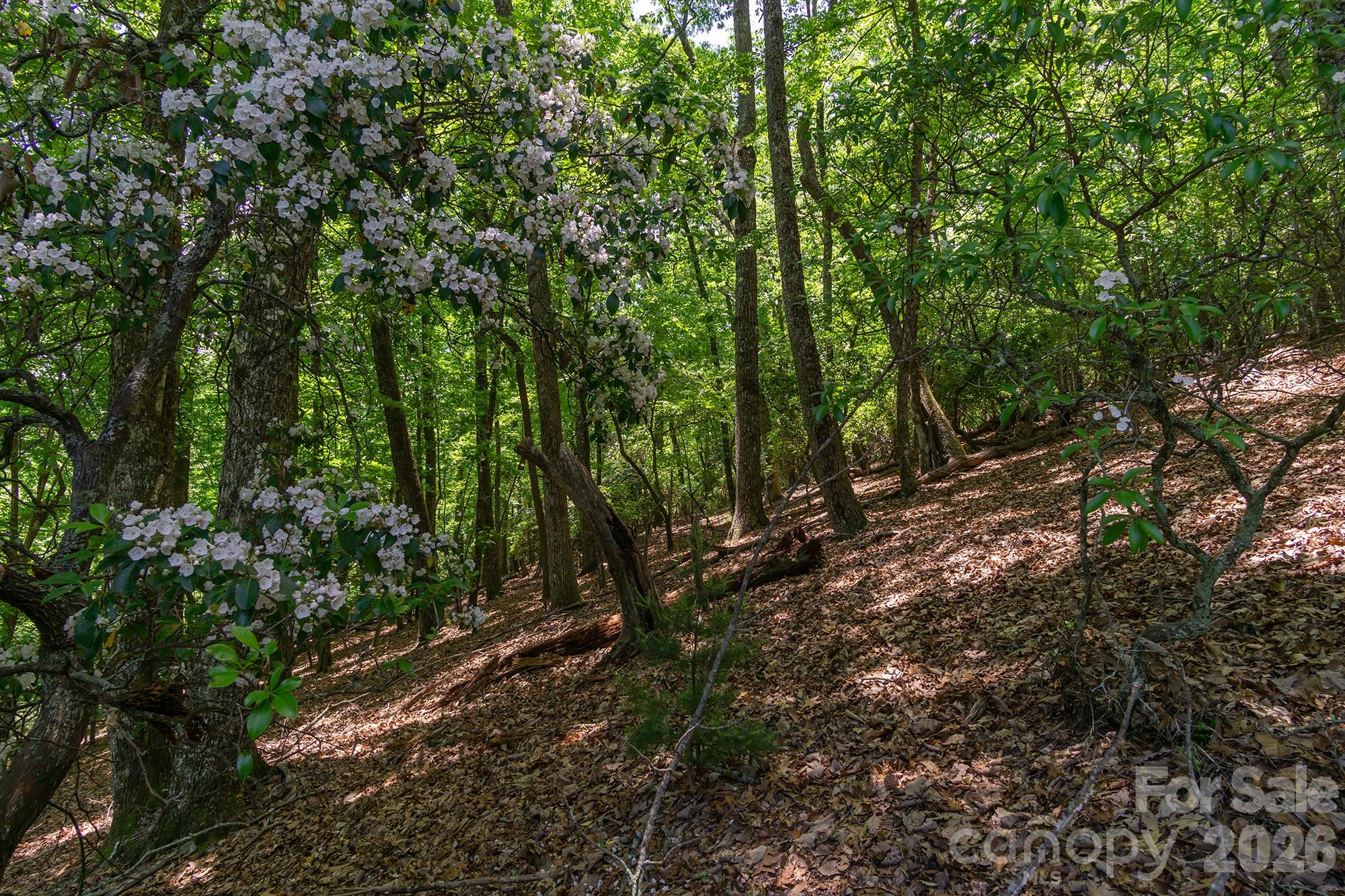 lot 53R Mills River Way Lot 53R