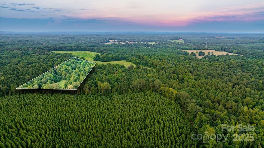 Welcome to Daystar Farms, a new subdivision offering 20 unique tracts ranging from 4(+) to 77 acres. Whether you’re seeking a serene residential lot, a mini-farm, hunting preserve, or a recreational haven, Daystar Farms has the perfect property for you. Daystar Farms is more than just a place to live; it’s a lifestyle. Imagine waking up to the sounds of nature, exploring your own private land, and having the space to pursue your passions. Build your vision-your way. Lot 11A is heavily wooded with a mix of hardwoods and pines allowing you to choose your homesite with plenty of elbow room and privacy. Daystar Farms is conveniently located with easy access to nearby amenities without sacrificing peaceful rural living. Soil tests have been performed with favorable results for conventional septic systems.