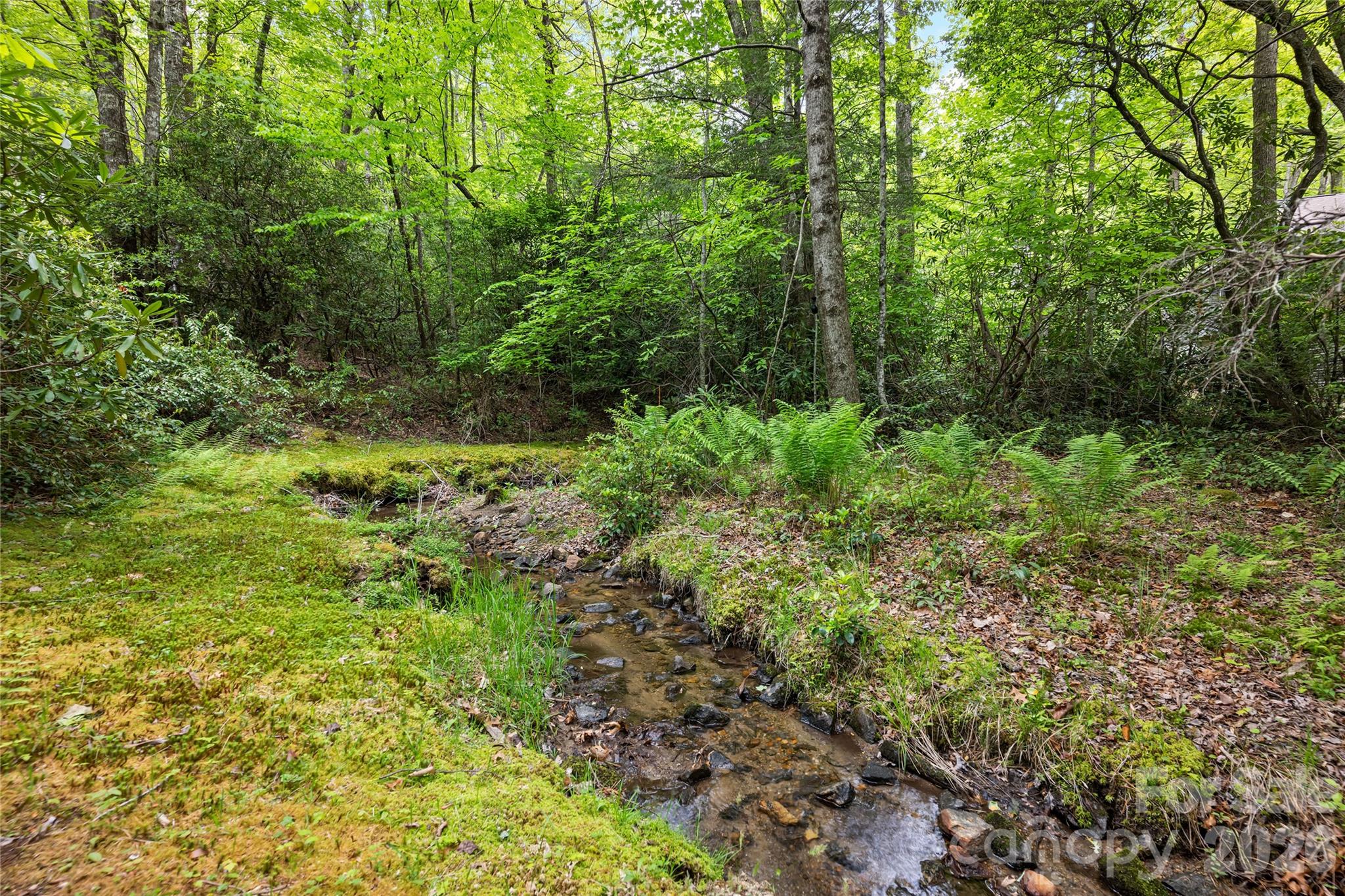 Lake Toxaway Estates - Residential