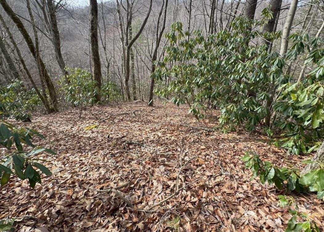 Shoot Out Mountain - Land