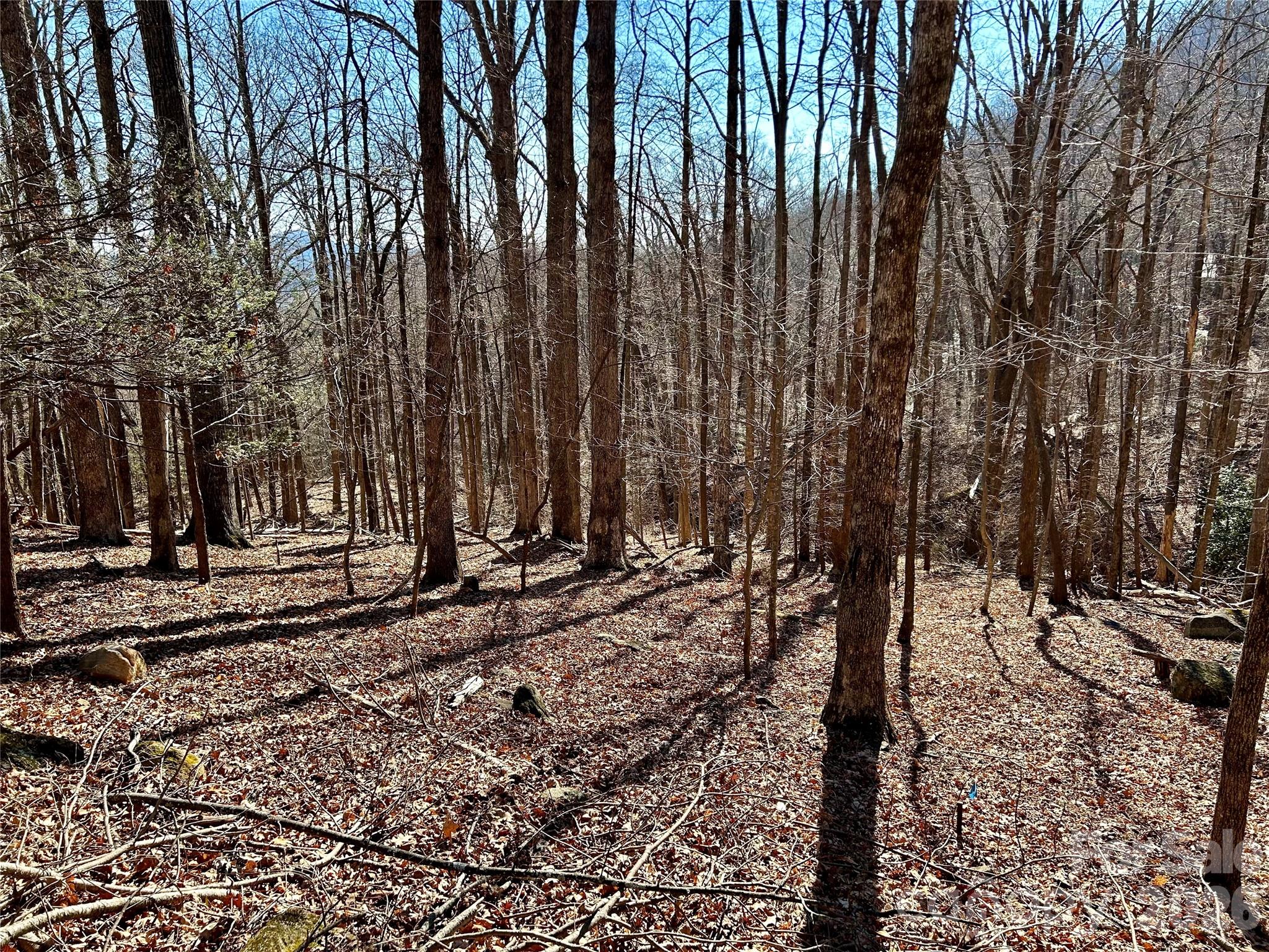 Lot 229 Swallow Lane