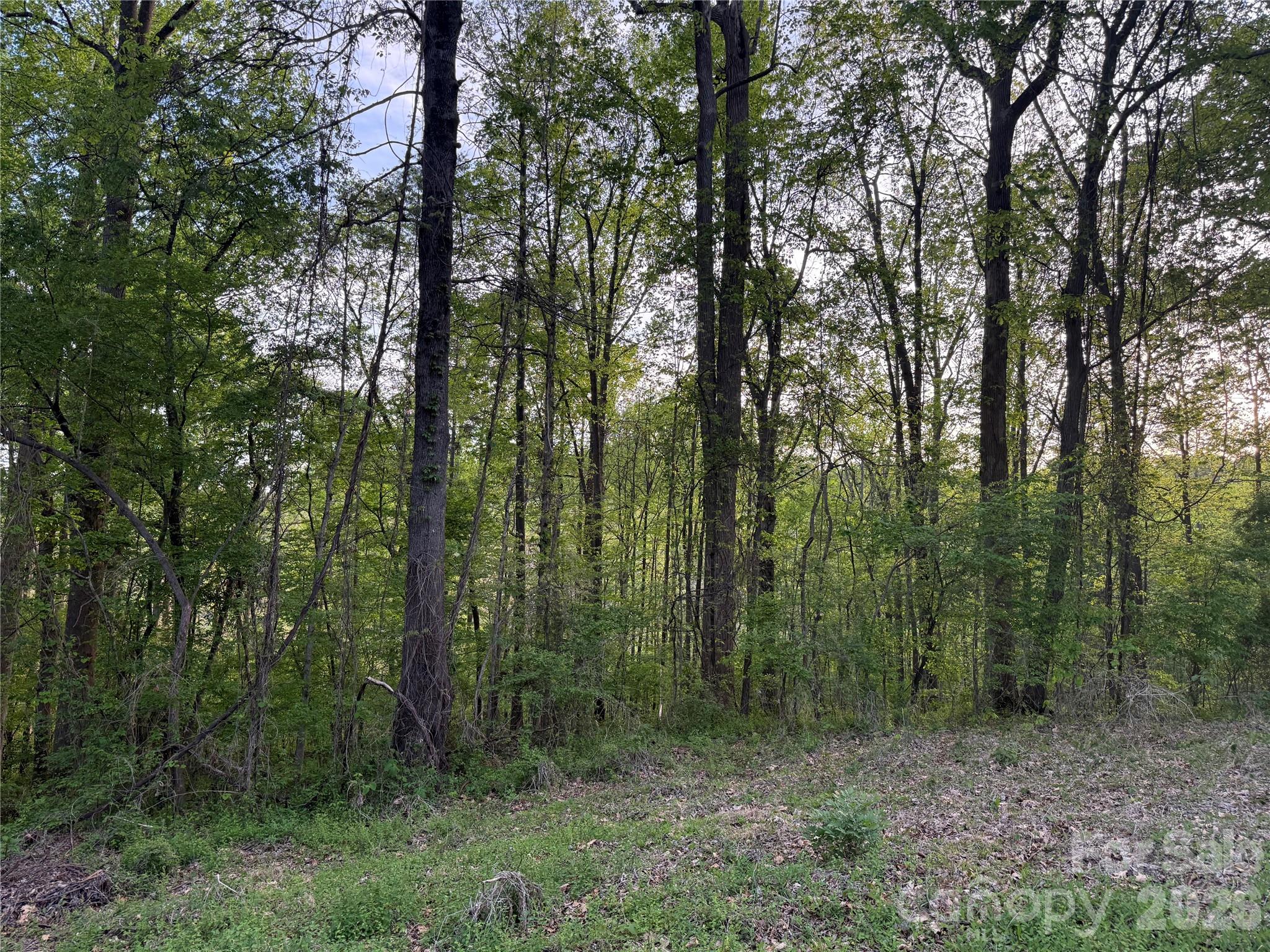 Sigfield Acres - Land