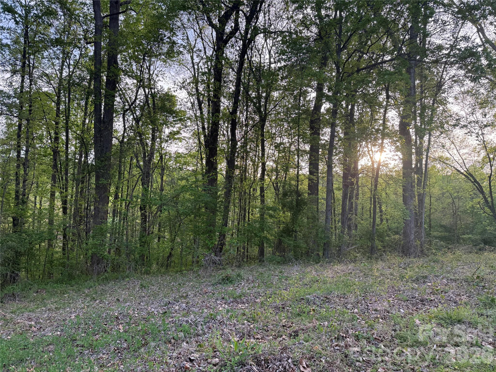 Sigfield Acres - Land