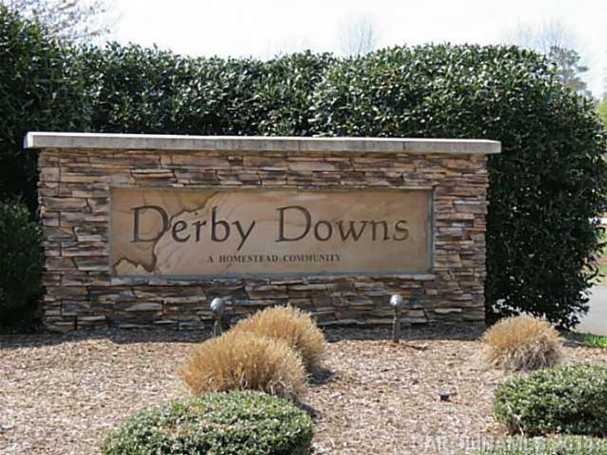 Nice lot in a great location and neighborhood.  Land is relatively flat with a nice build site off the road.  Property is covered  in small pines that could be easily cleared for open yard or left for plenty of privacy.  This is a large lot with tons of potential.  There are some larger trees scattered throughout and in the back of the lot.