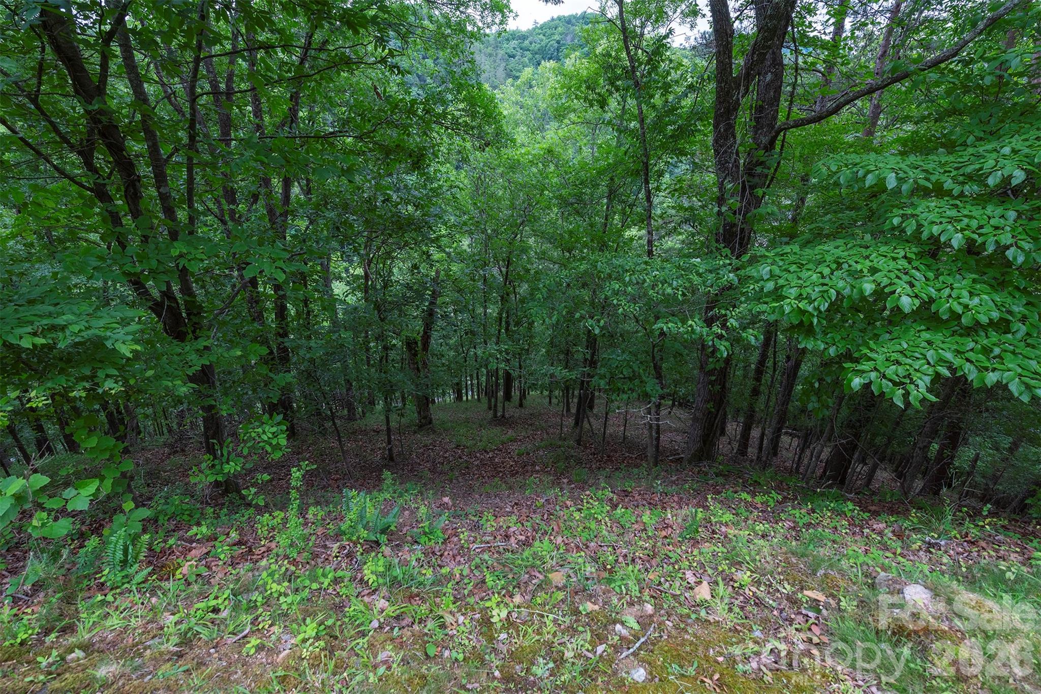 French Broad Crossing - Land