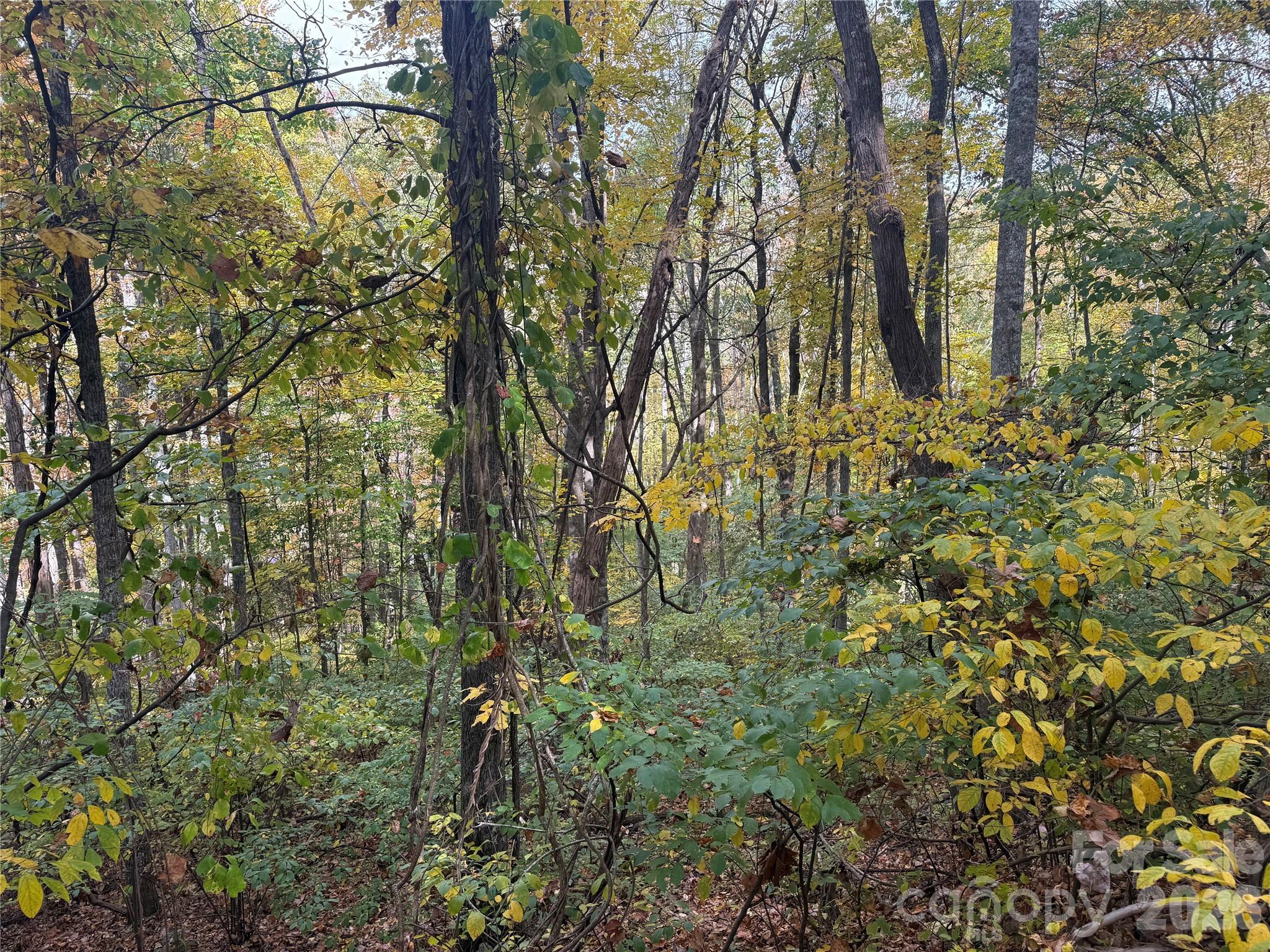 999 Whispering Woods Path