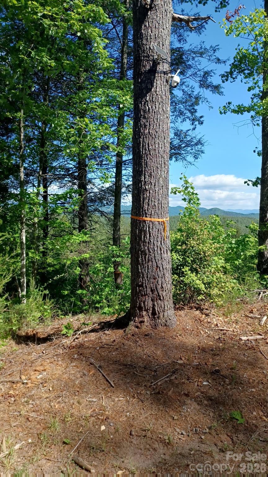 Lot 395 River Ridge Way