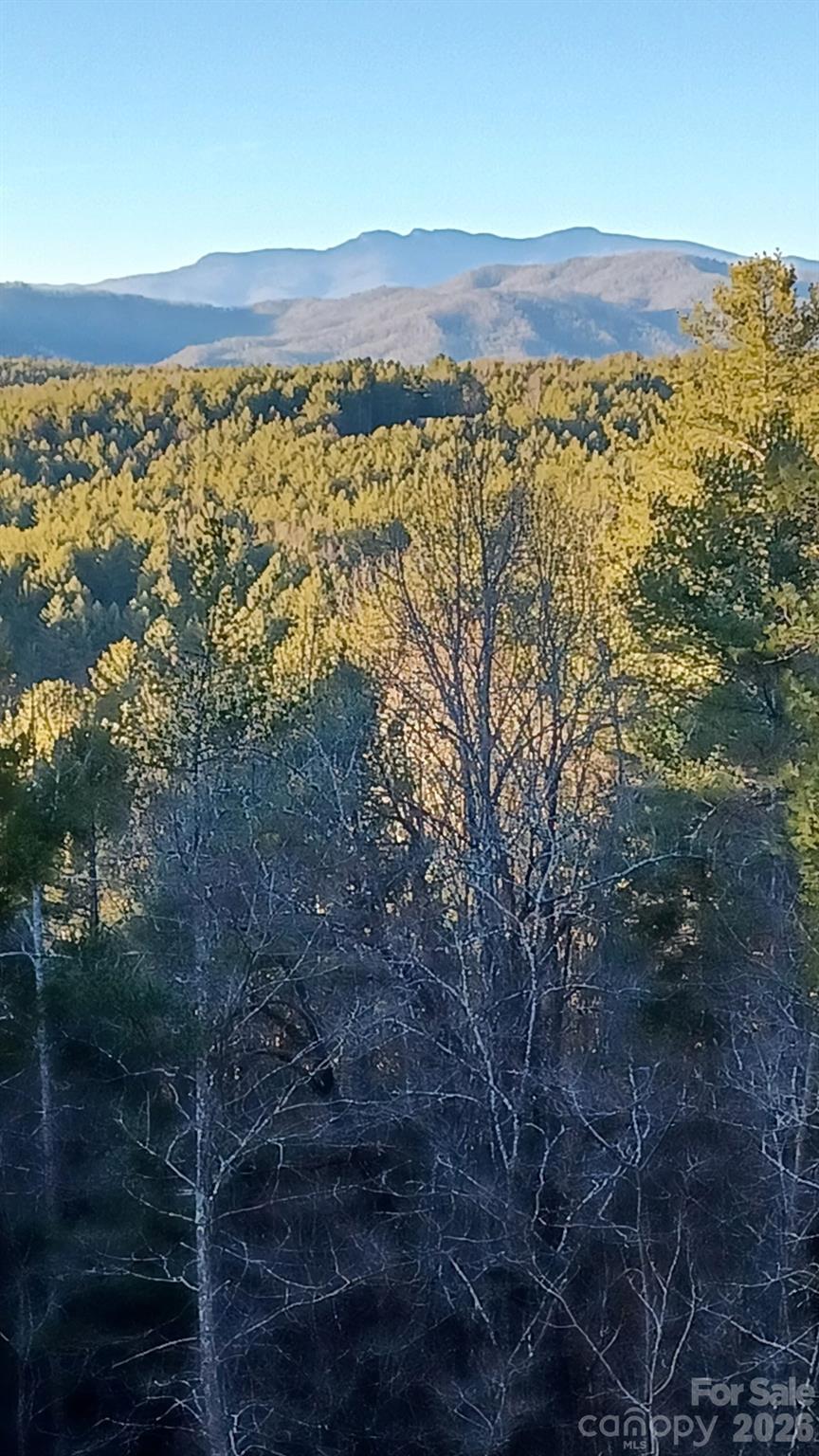Lot 395 River Ridge Way