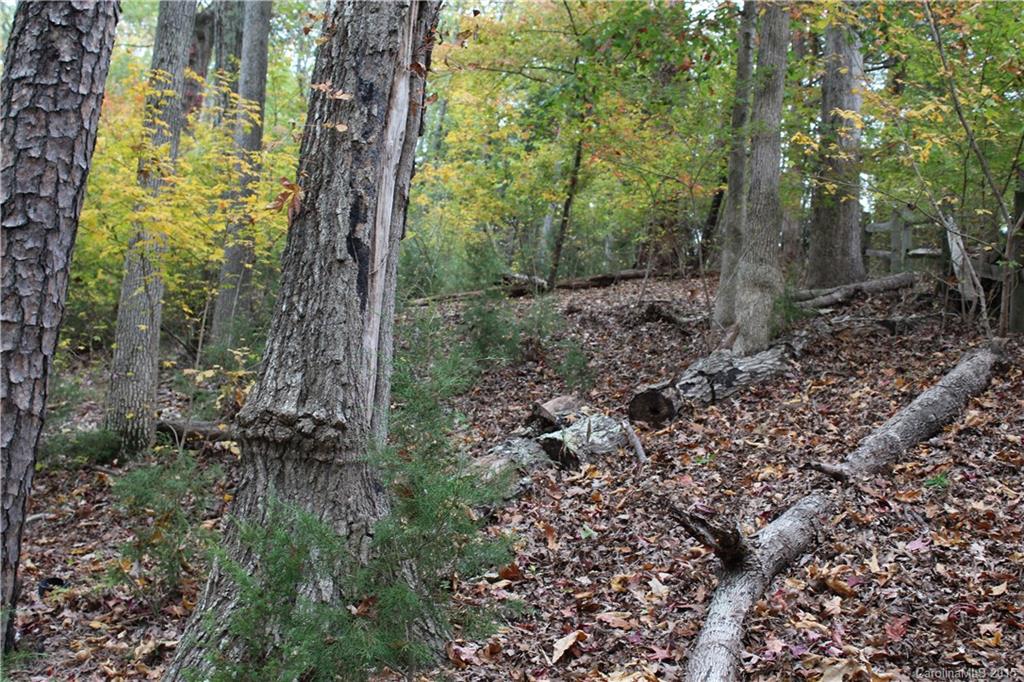 Beaver Dam Estates - Land