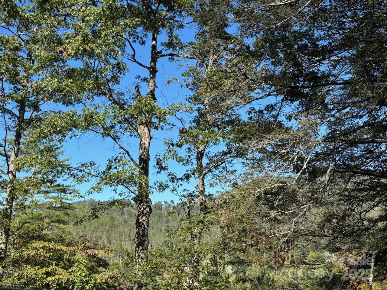 493 Spring Hill Road