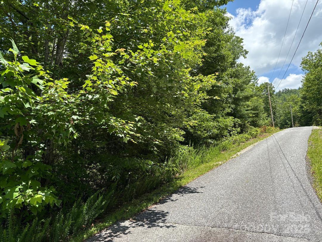 Linville Mountain Acres - Land