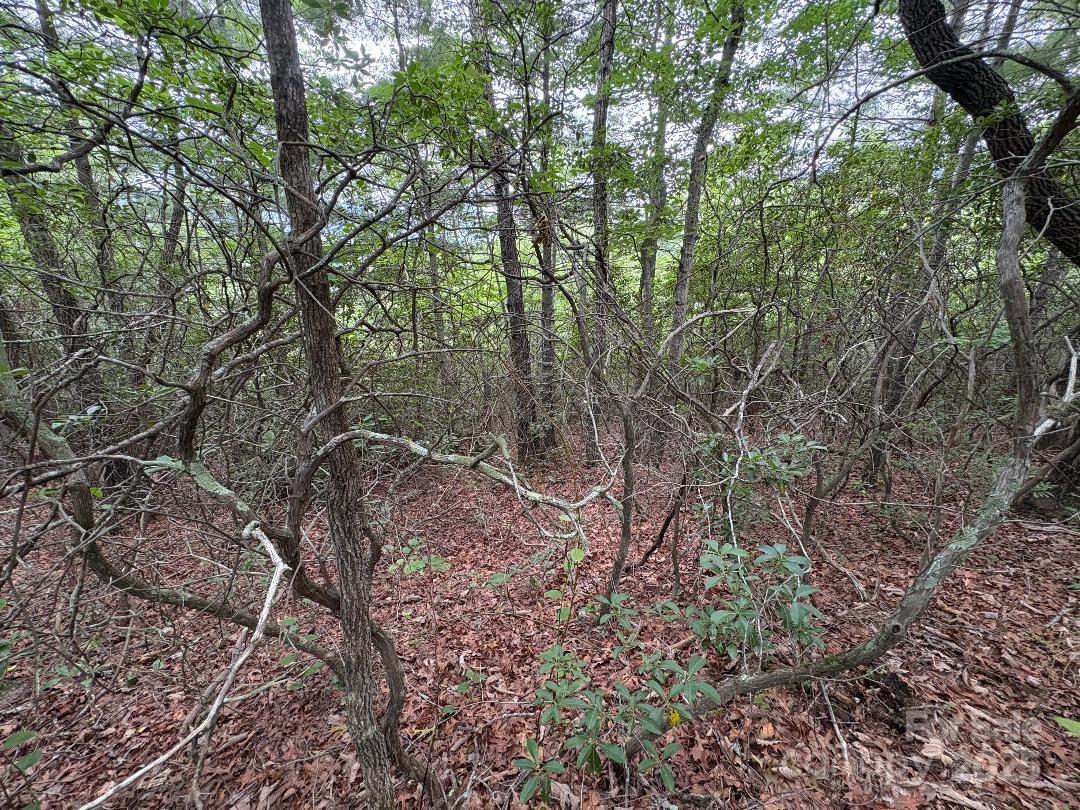 Linville Mountain Acres - Land