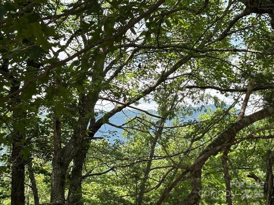 MOUNTAIN VIEWS GALORE!! Build your dream mountain get-away on this beautiful 2-acre lot in the gated community of Linville Mountain Acres, in the desirable Blue Ridge Mountains of N.C. This private lot has paved frontage off of two different roads. Mountain views span the entire length of the lot and would likely be year-round with minimal cutting. Much of the parcel is gently sloping for building, with a required minimum square footage of only 800 sq feet! SHORT-TERM RENTALS ARE ALLOWED!! Lot 34 is not too far from the front gate and located within minutes of a premier mountain disc golf course, Linville Falls, Linville Falls Winery, Grandfather Mountain, The Blue Ridge Parkway, various ski slopes, and other mountain attractions. PRICED BELOW TAX VALUE, this one won't last long!