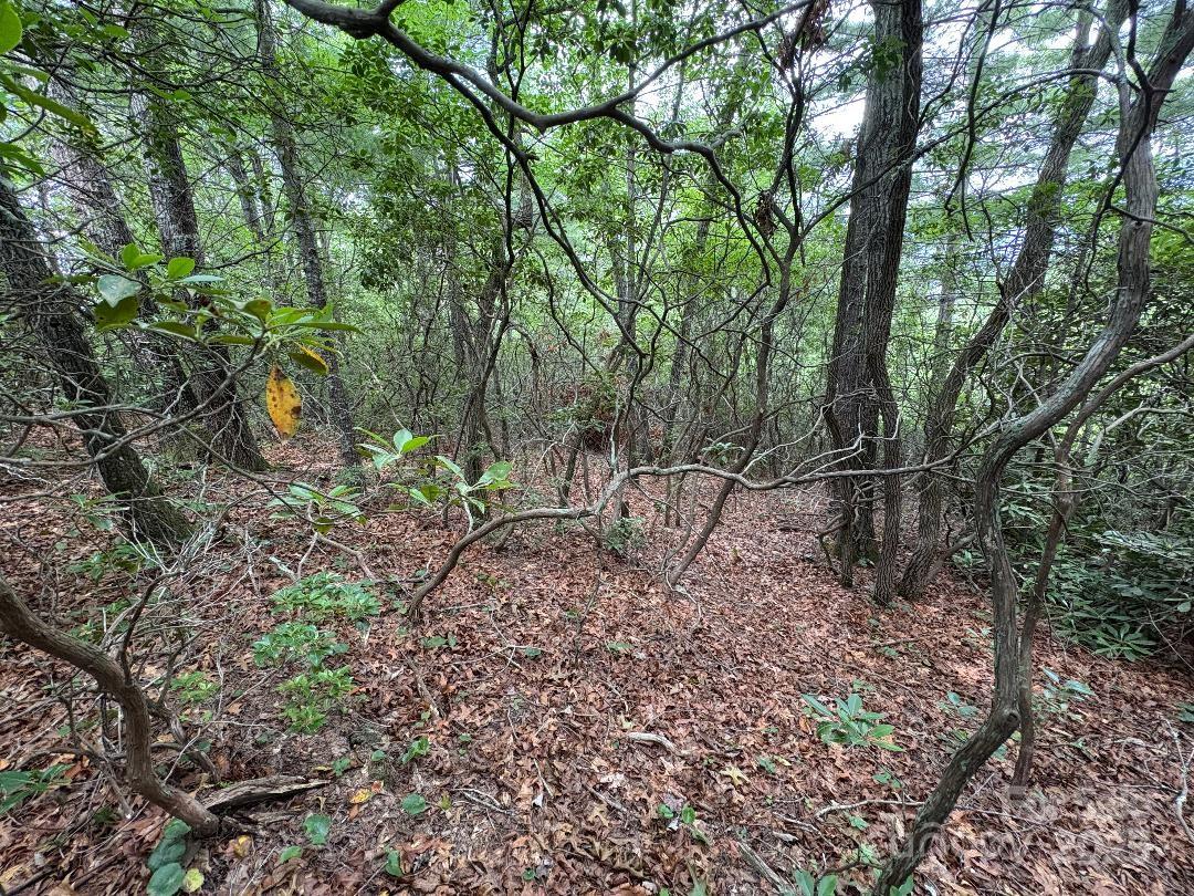 Linville Mountain Acres - Land