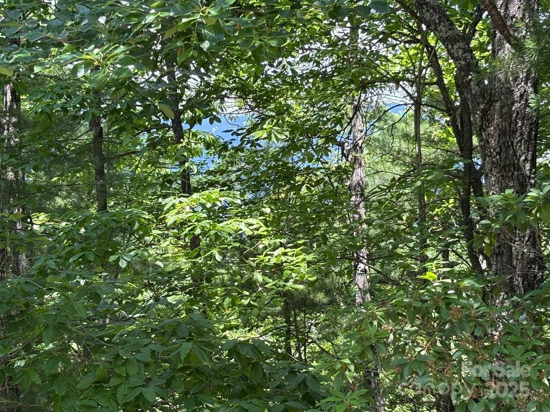 Linville Mountain Acres - Land