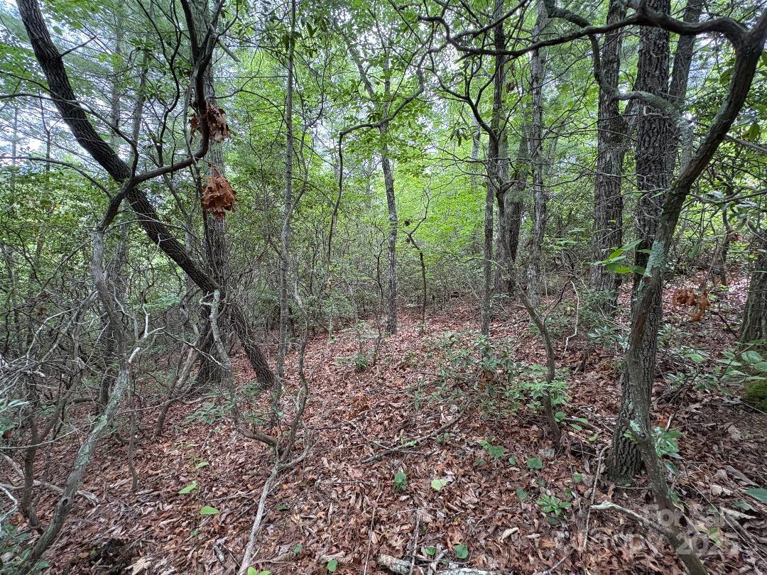 Linville Mountain Acres - Land