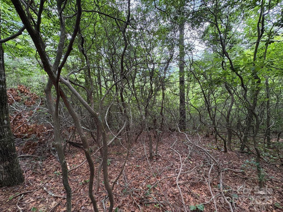 Linville Mountain Acres - Land