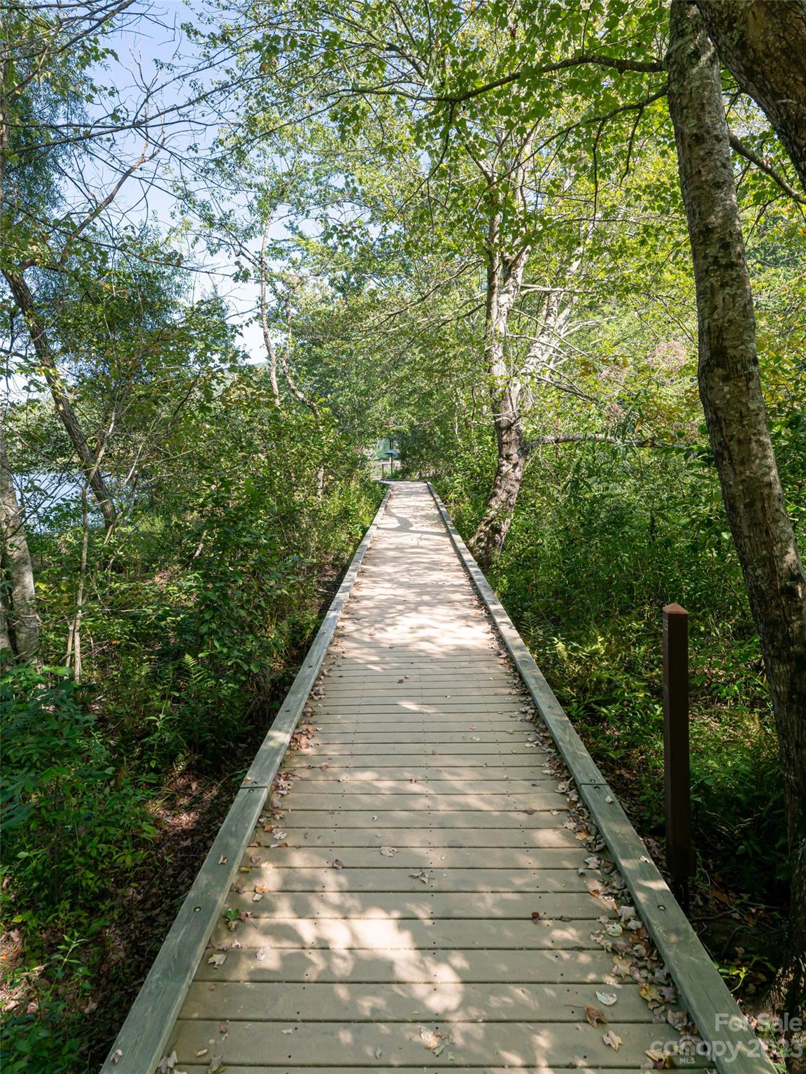 Biltmore Lake - Residential