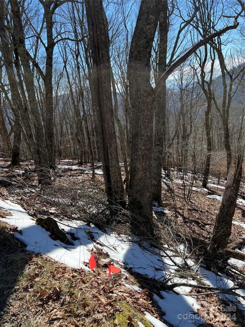 Photo for 00 Tearshirt Lane 316