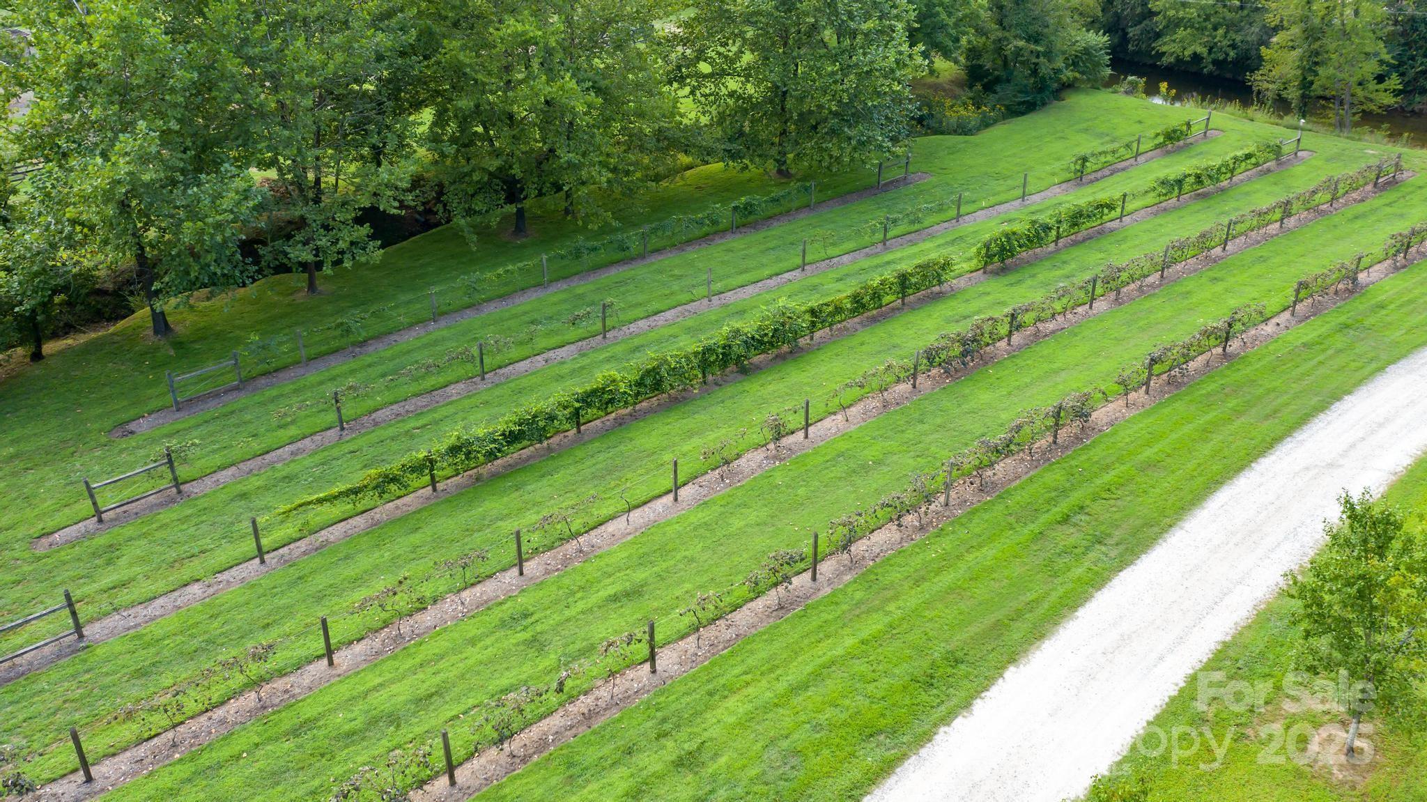 The Coves Mountain River Club - Land